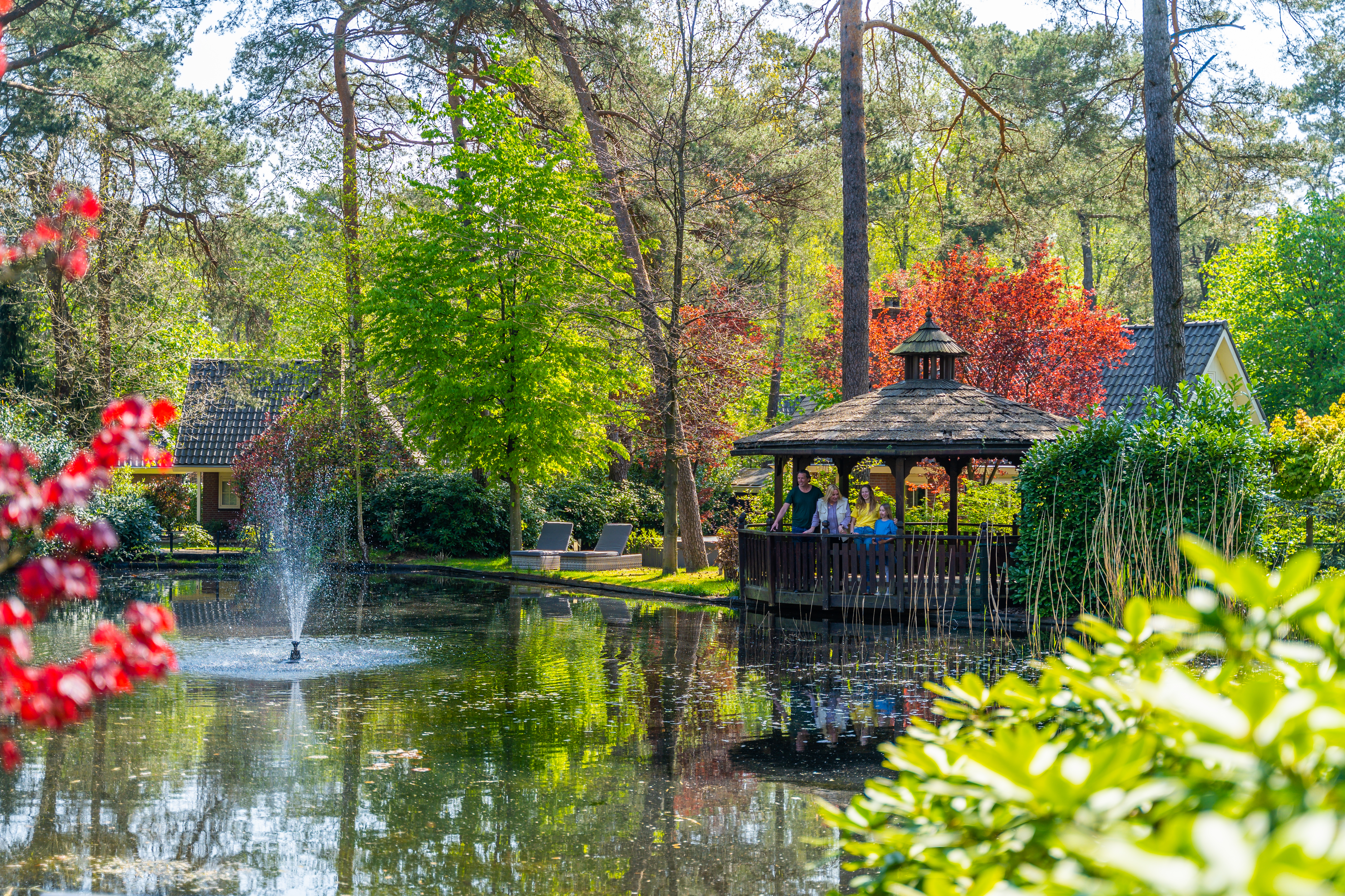 EuroParcs Beekbergen — photo 7
