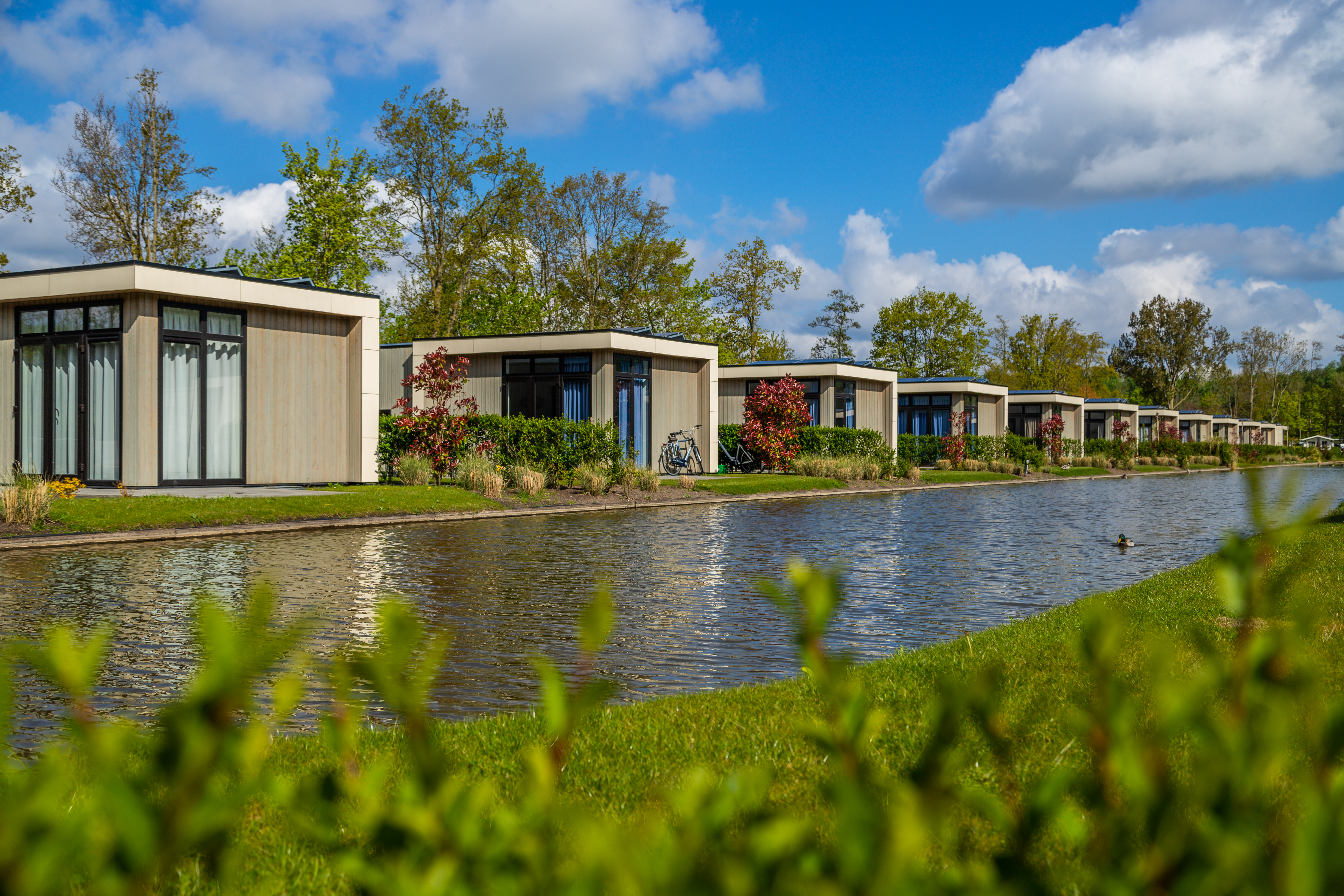 EuroParcs Buitenhuizen — photo 6