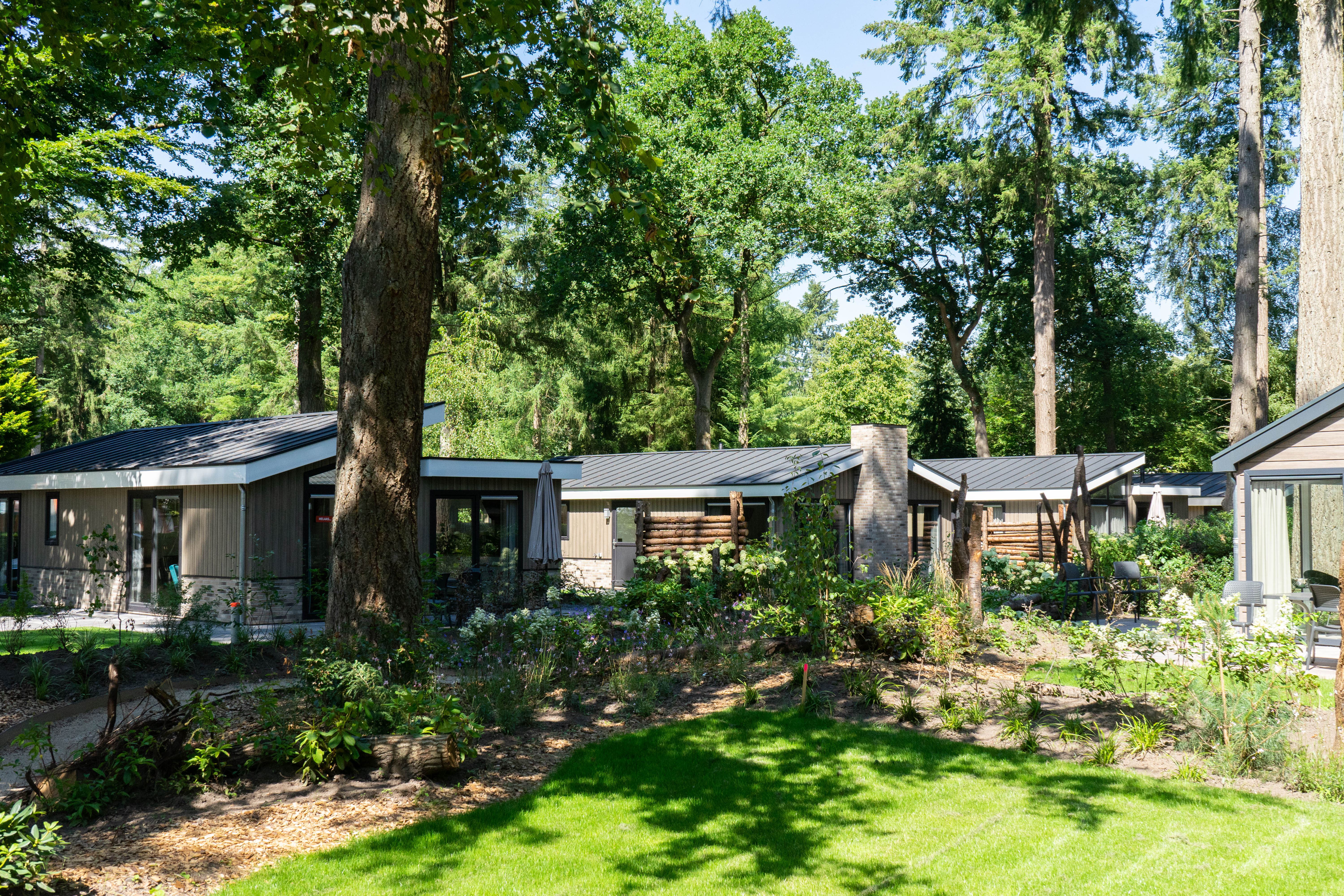 EuroParcs De Utrechtse Heuvelrug — photo 4