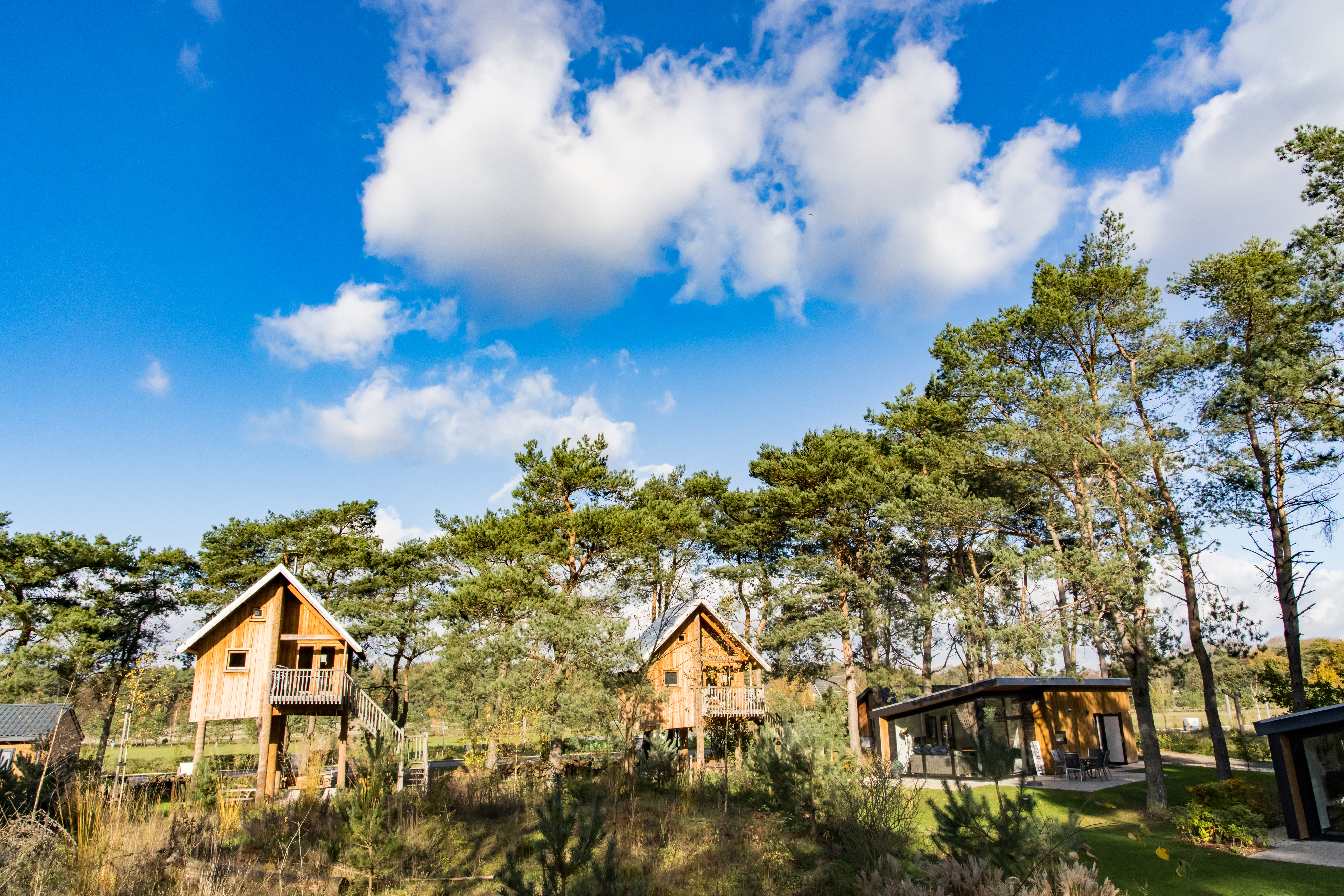 EuroParcs De Wije Werelt — photo 6