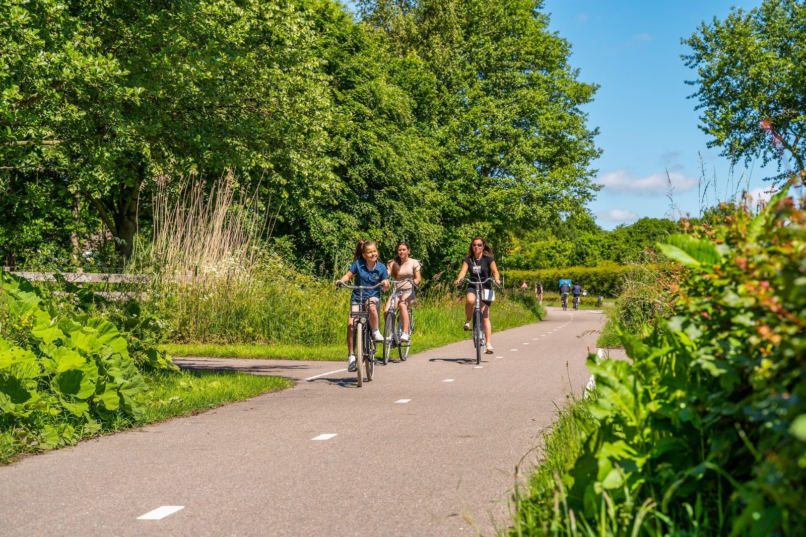 Vakantiepark EuroParcs De Woudhoeve