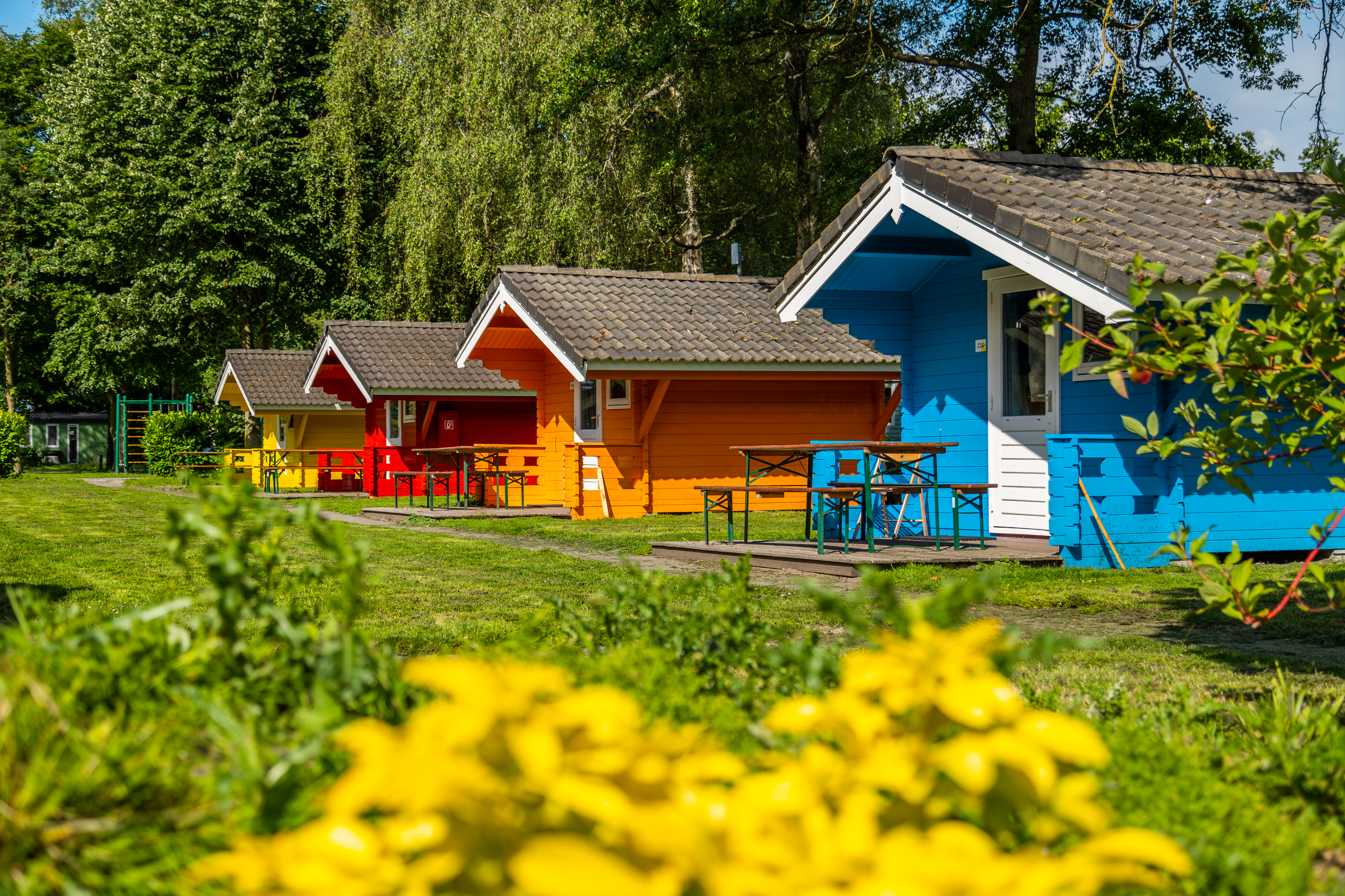 EuroParcs Het Amsterdamse Bos — photo 7