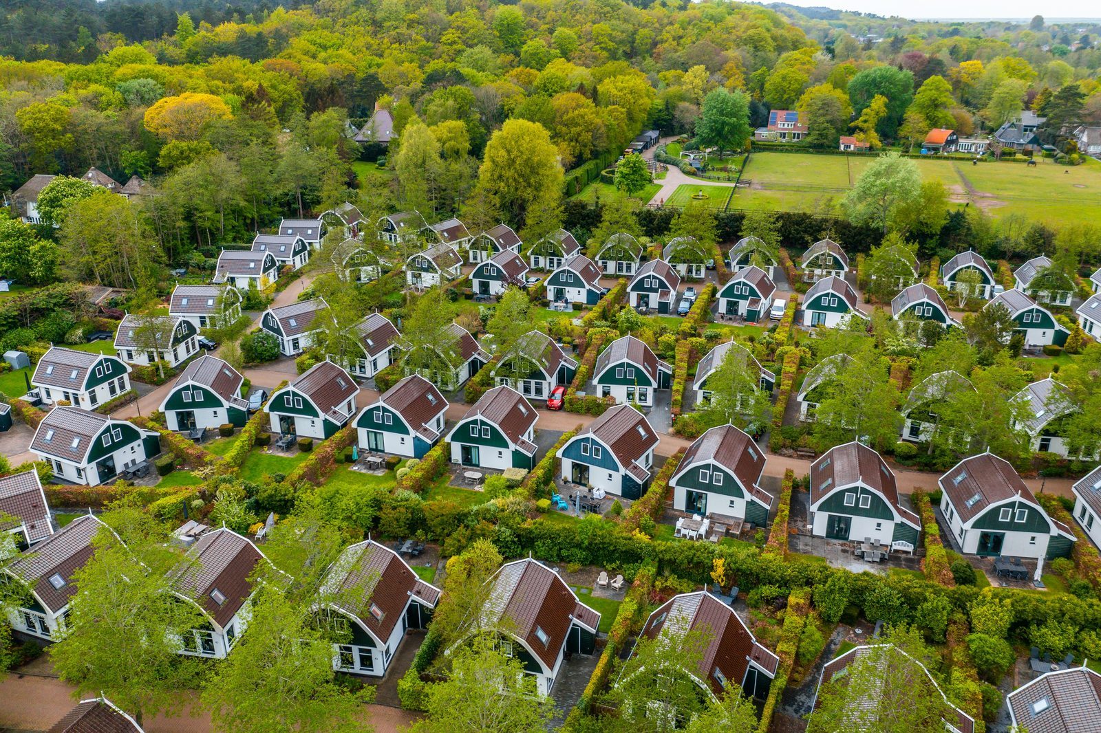Holiday park EuroParcs Koningshof