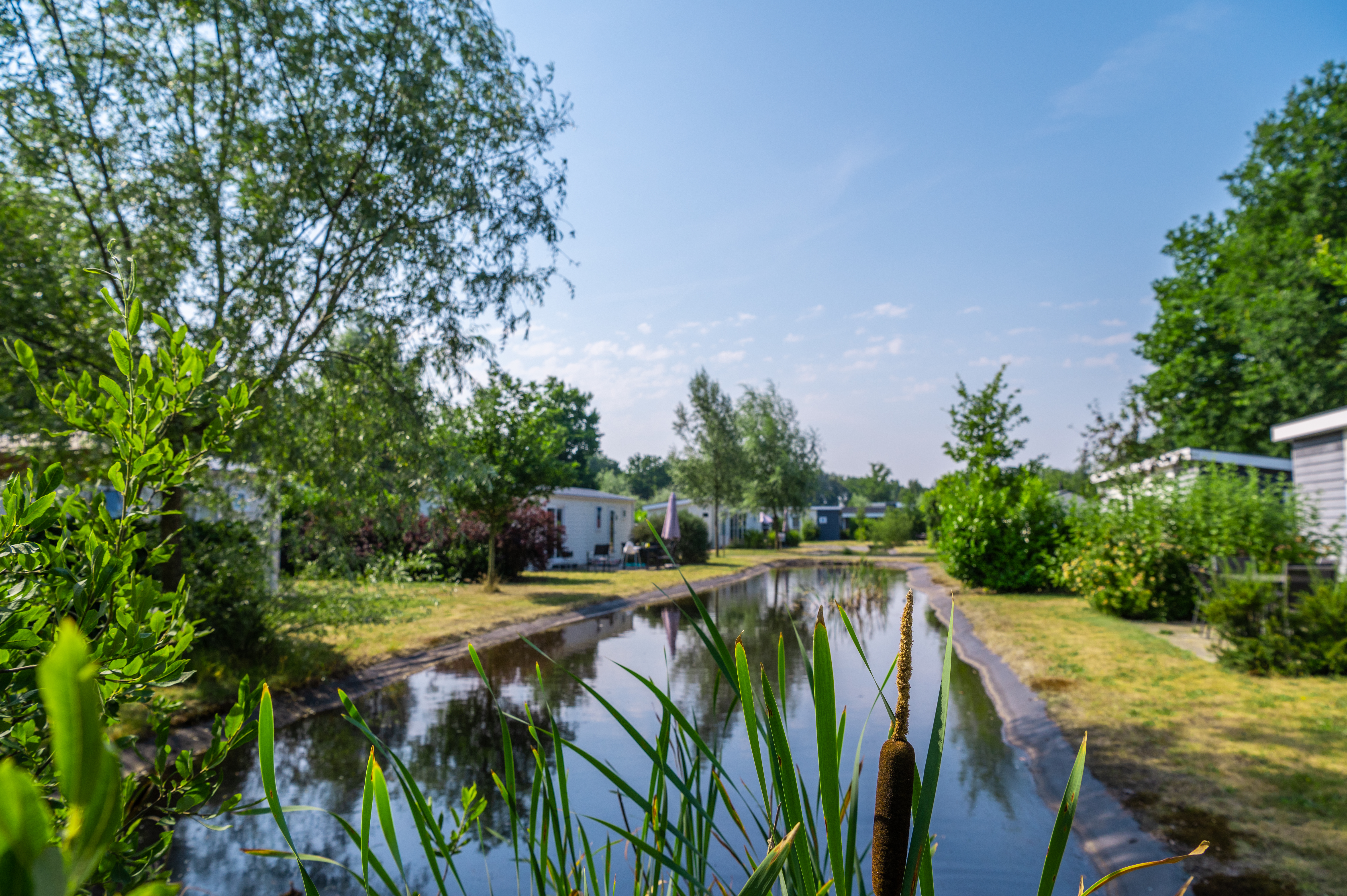 EuroParcs Reestervallei — photo 7