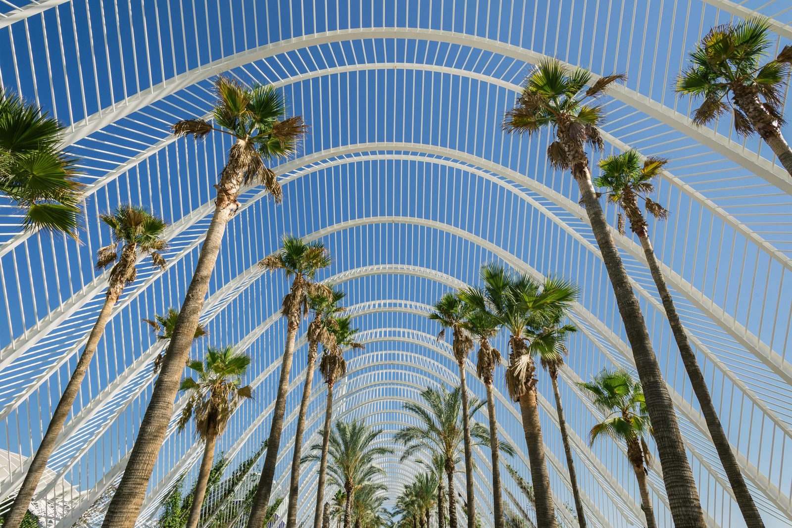 Valencia