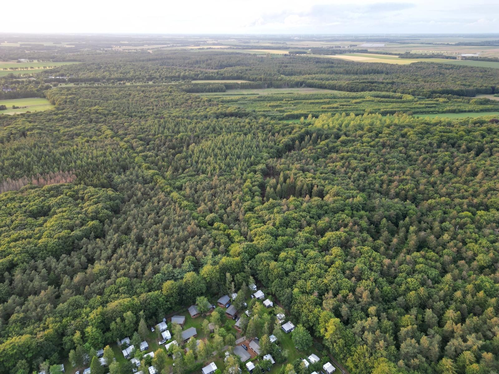 Natuurwandeling