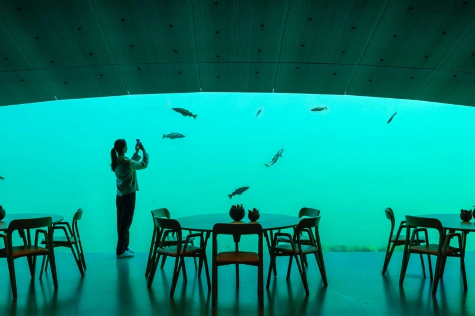 Restaurant under.