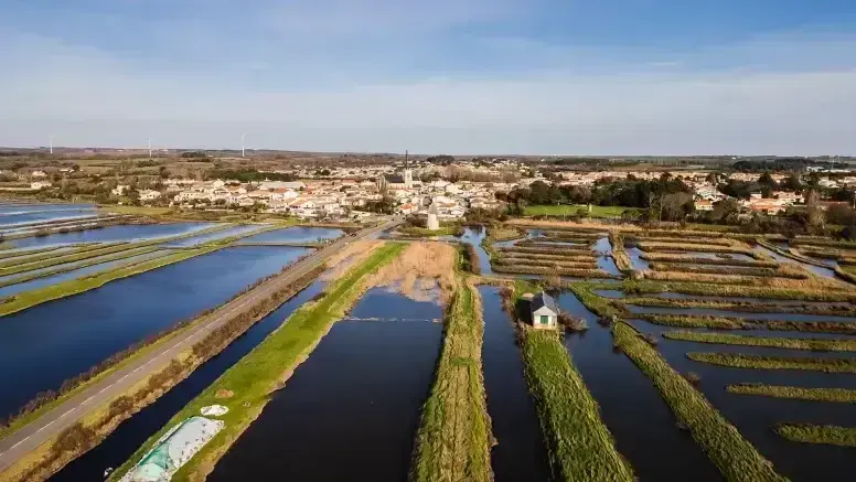 natuur