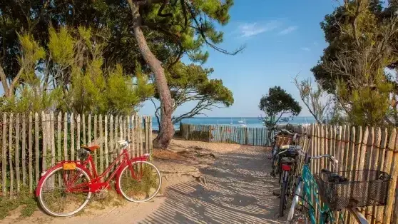 strand
