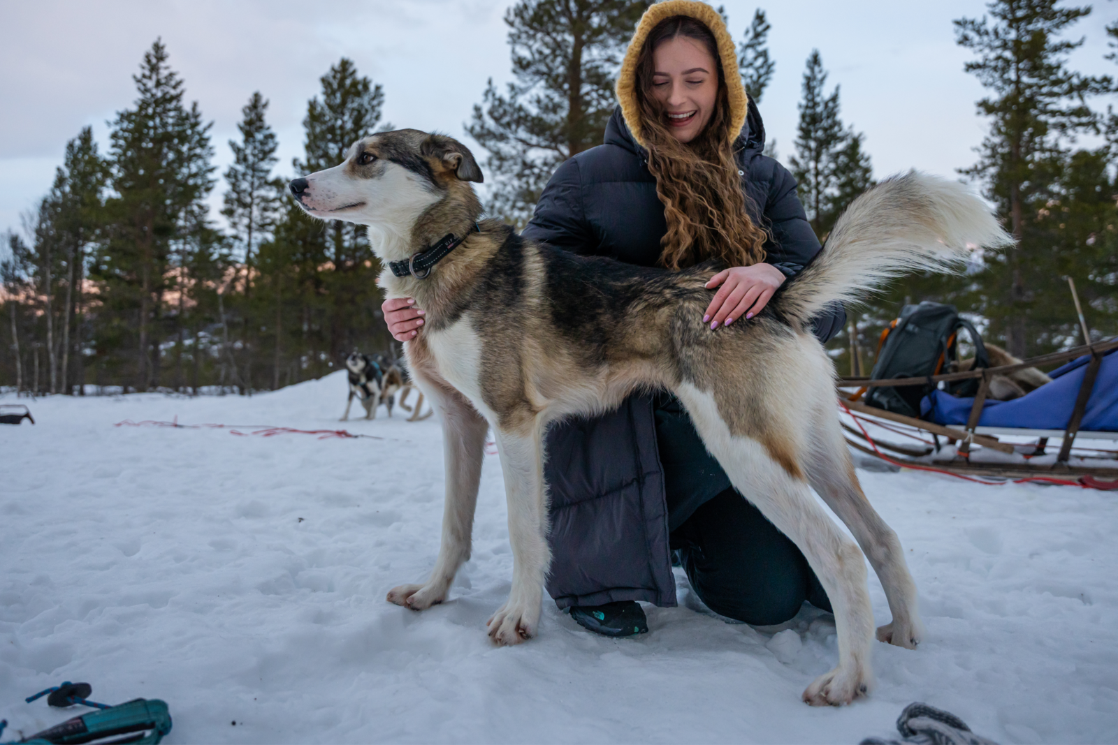Vrouw die knuffelt met een husky