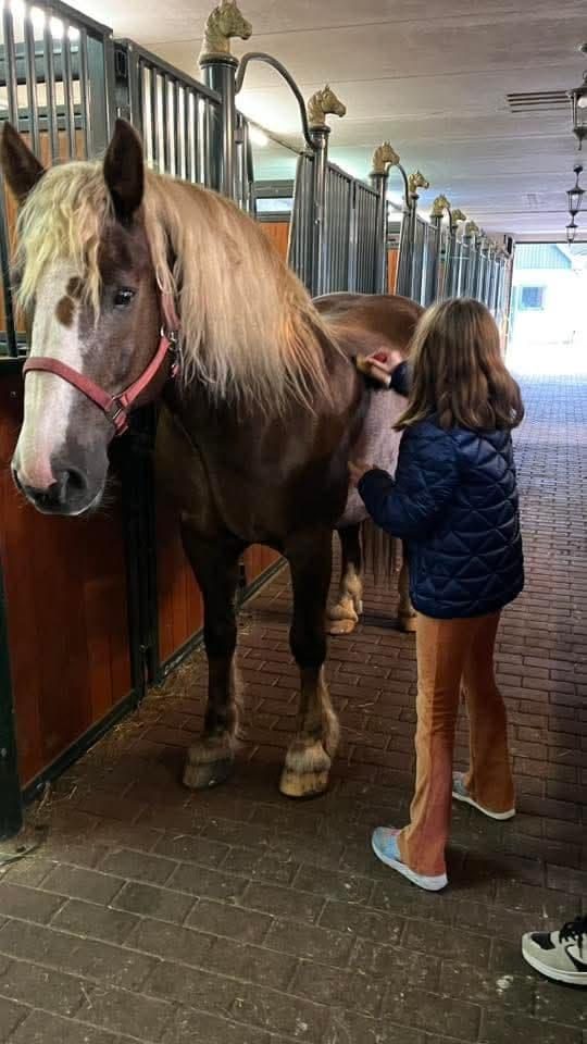 Dochter bij paard