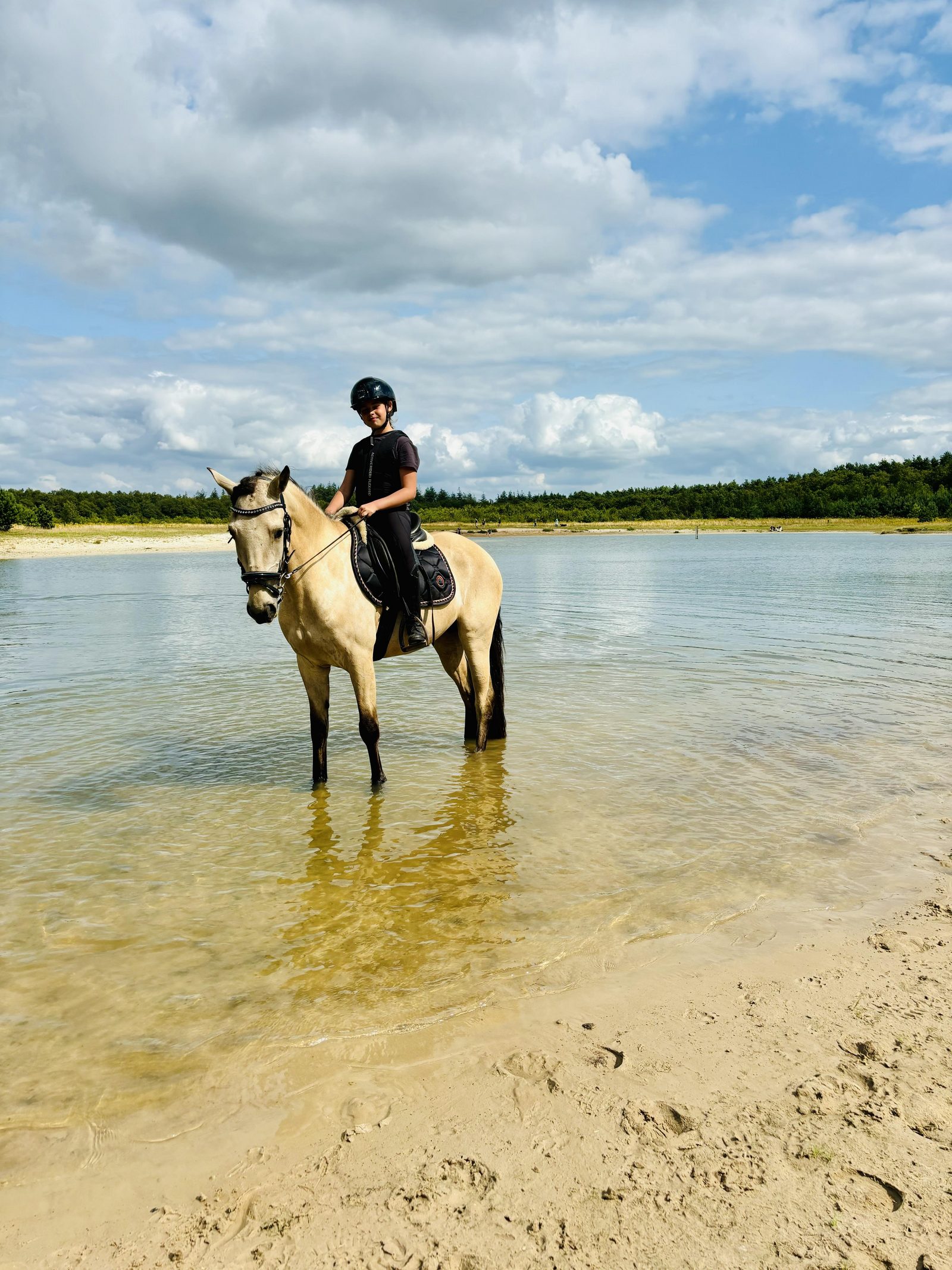 Paard bij Spartelvijver