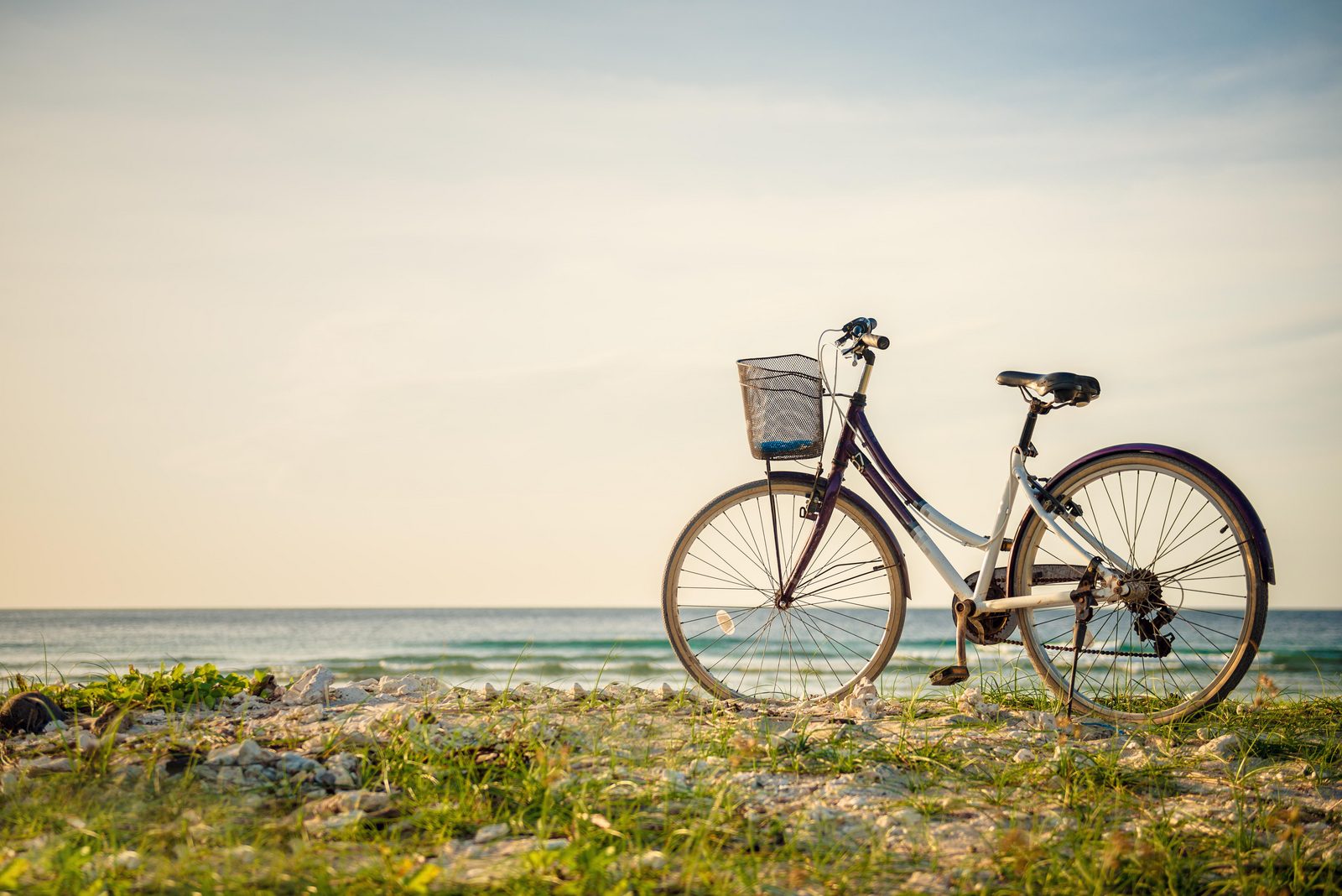 Bike rental