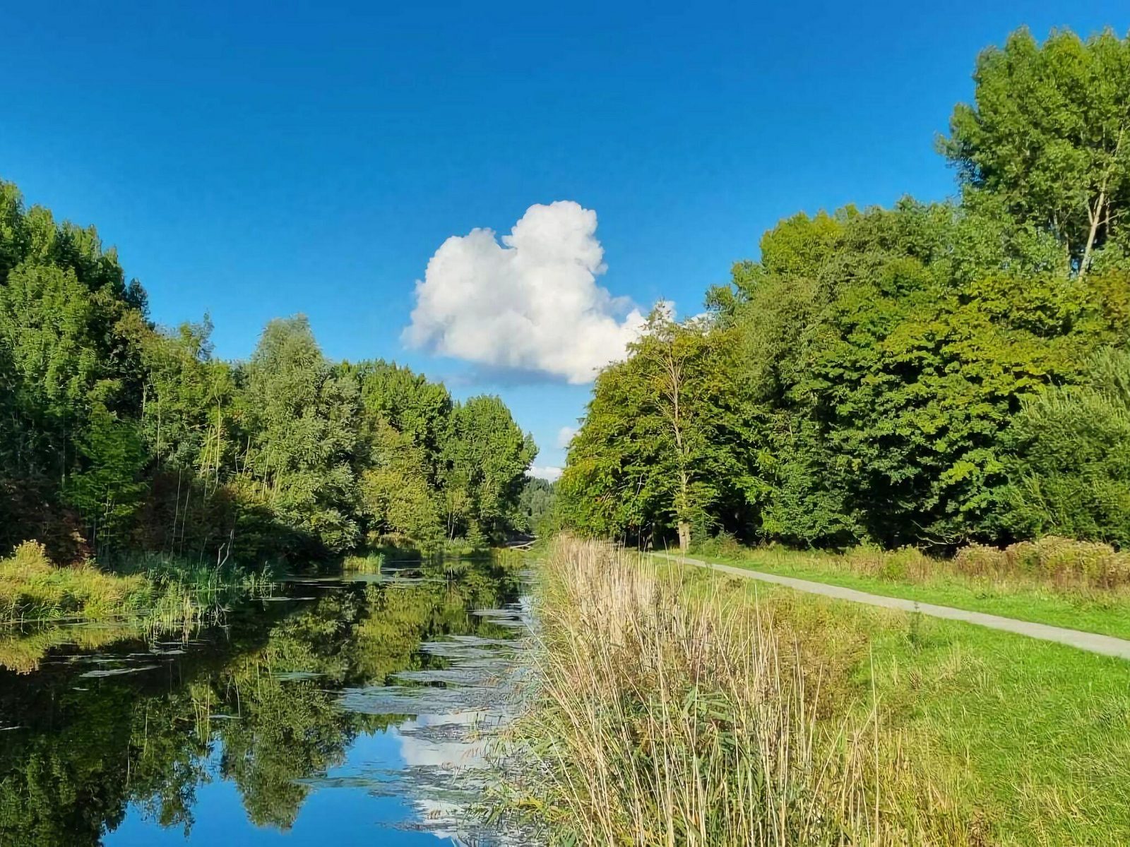 Harderbos