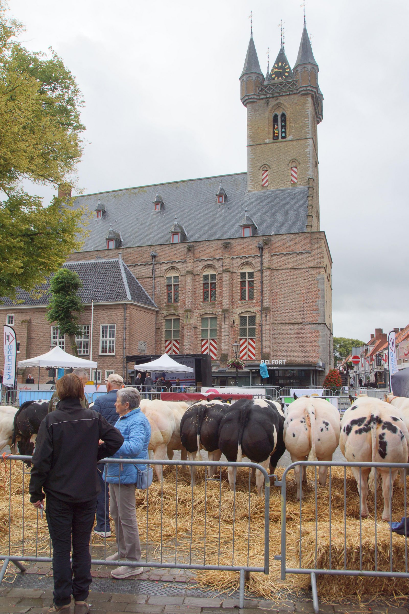 Fokveetentoonstelling met veekeuring 2025, Sluis