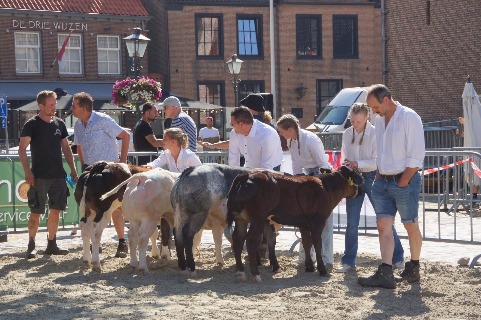 Fokveetentoonstelling met veekeuring 2025, Sluis