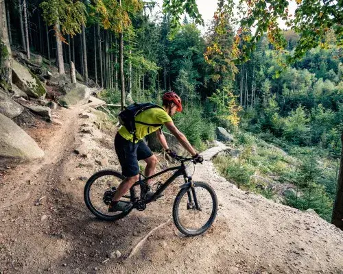 Fietsverhuur
