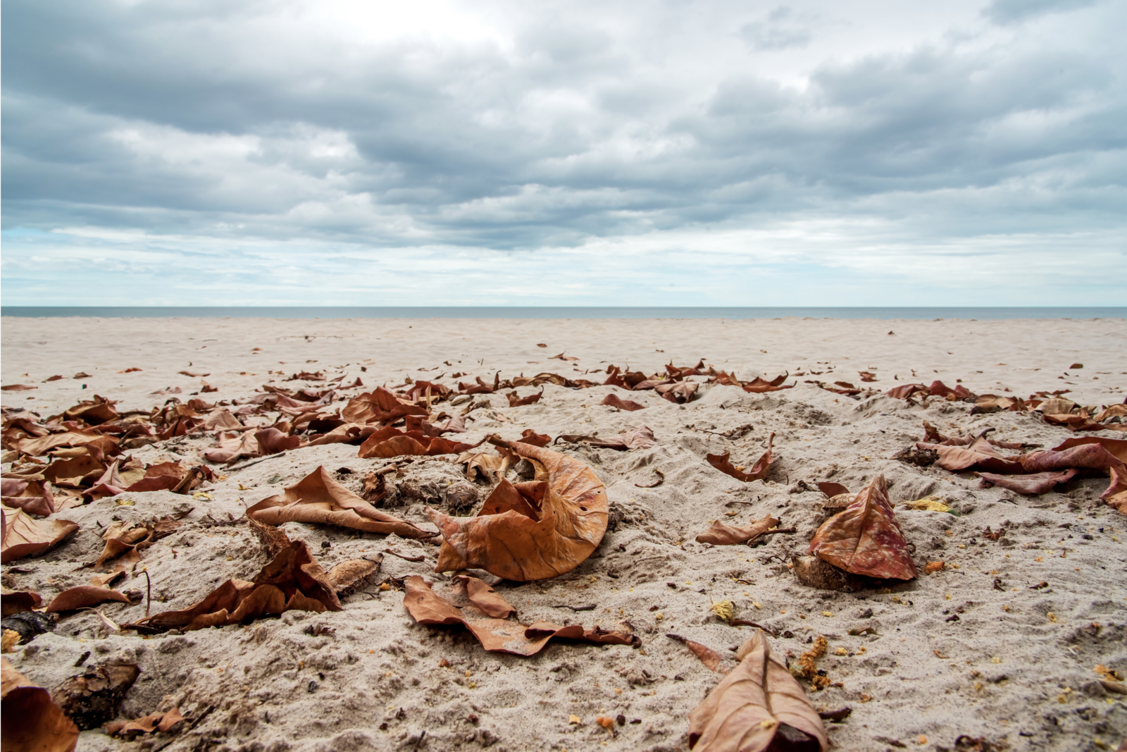 Herfstvakantie