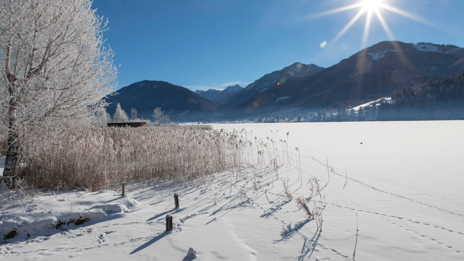 Weissensee
