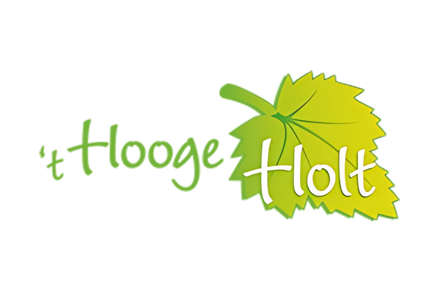 't Hooge Holt'