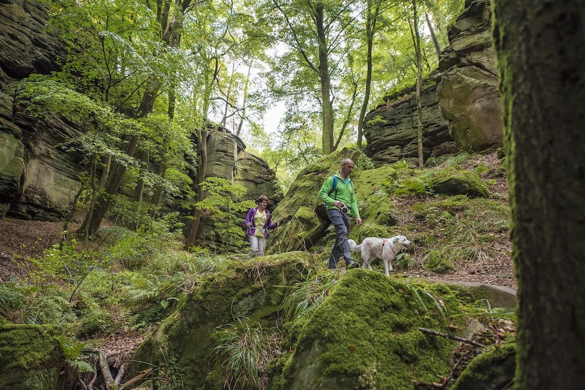 Wandern