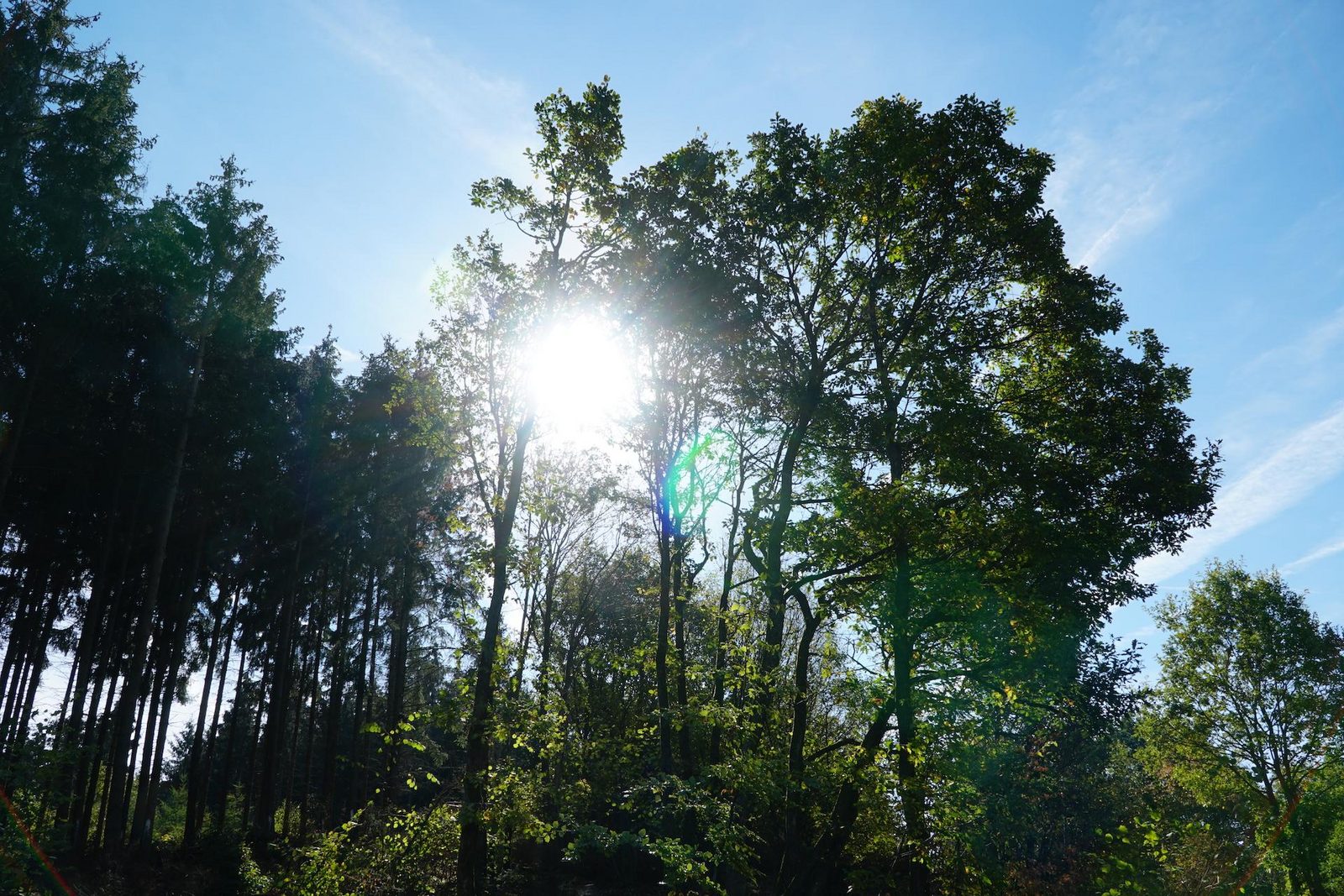 Parc Hosingen