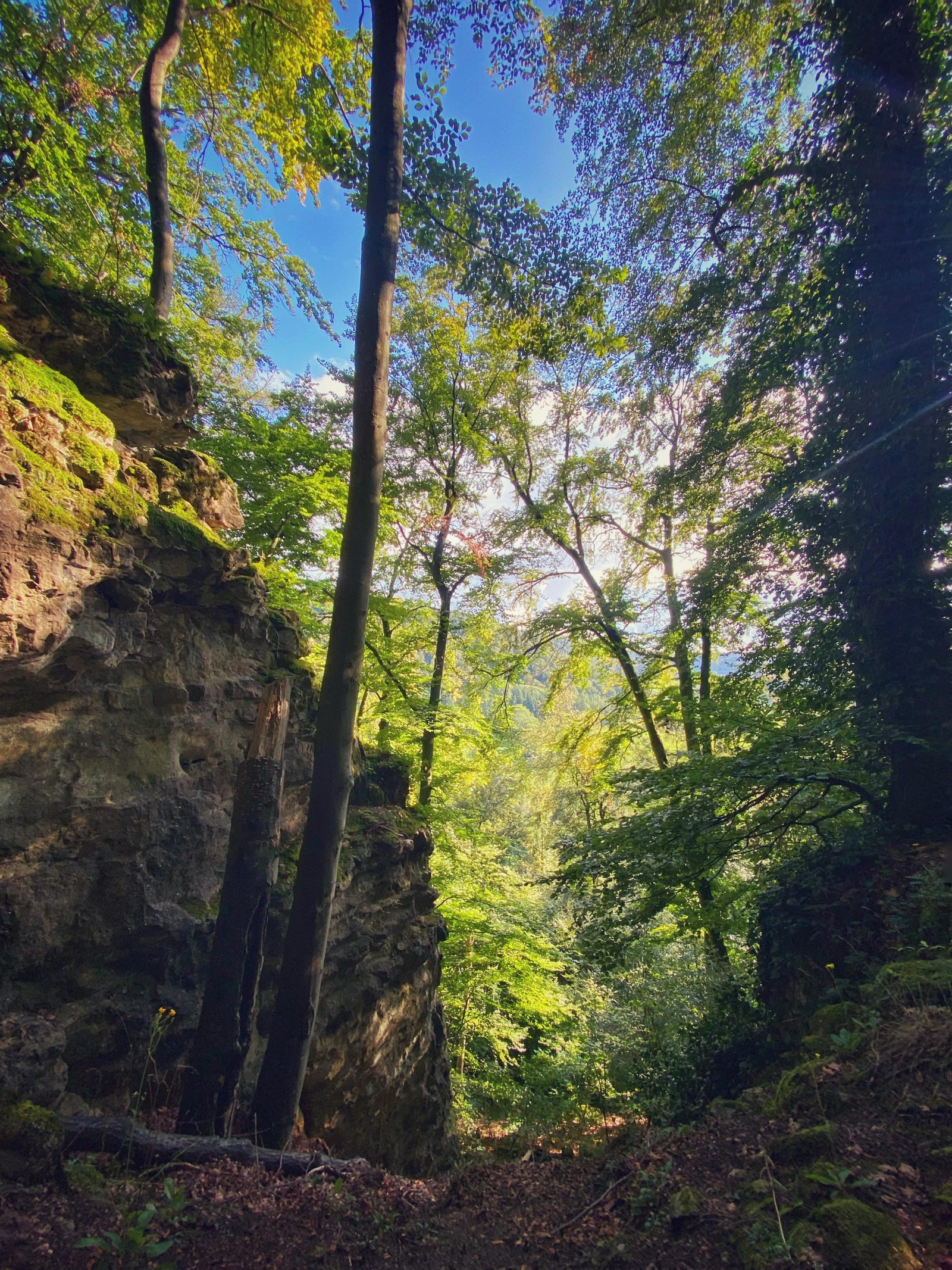Guttland Trail