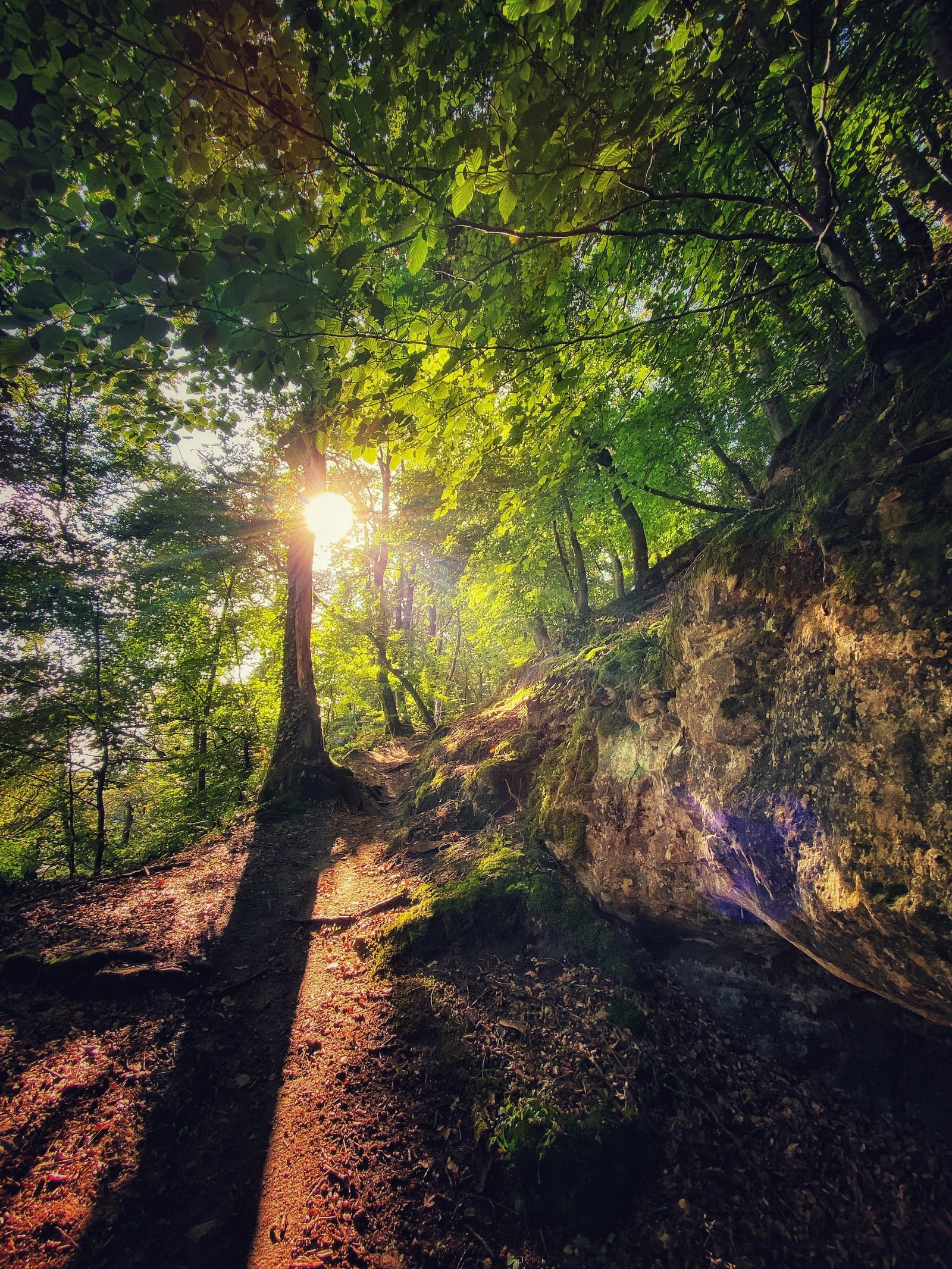 Guttland Trail