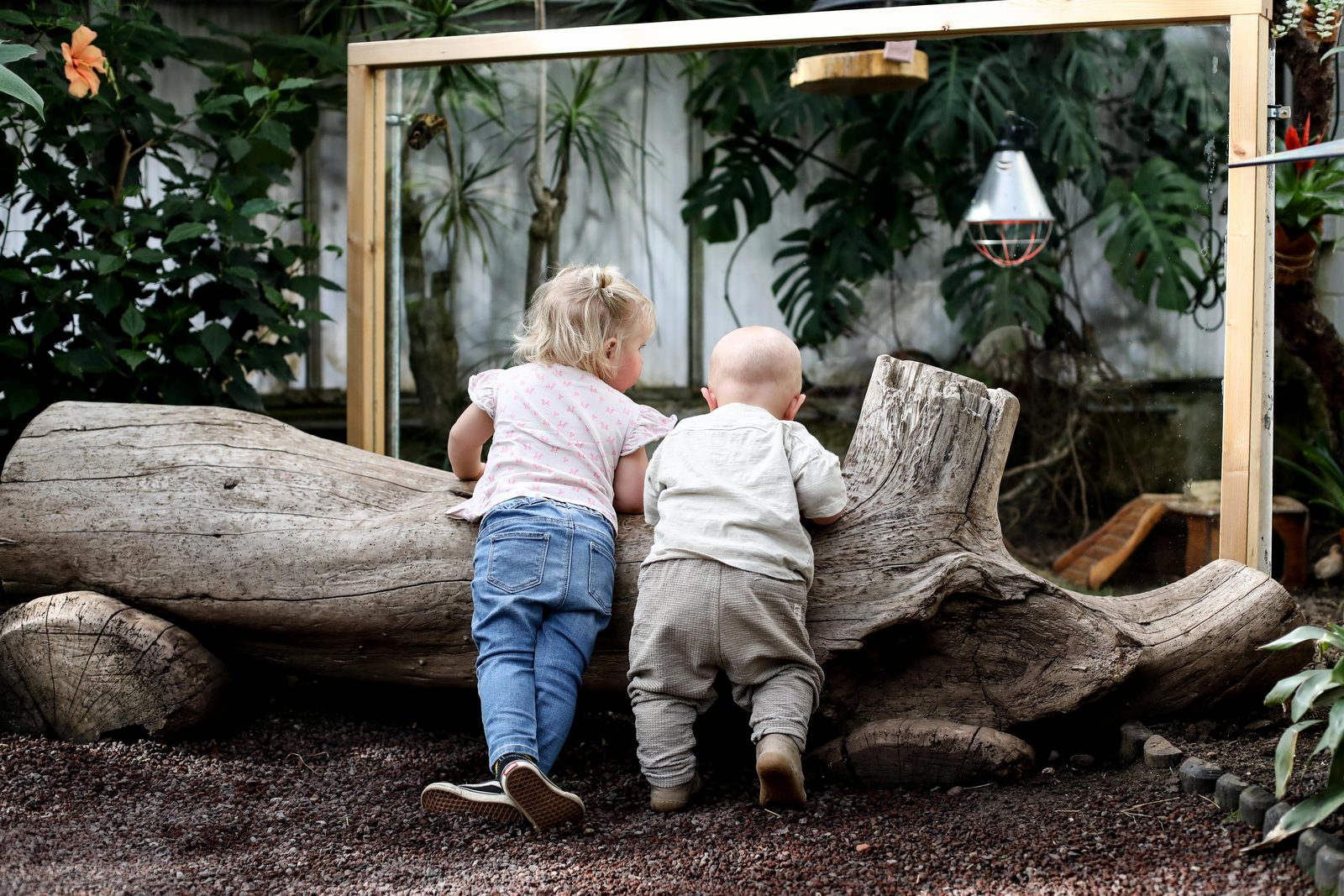 Schmetterlingsgarten