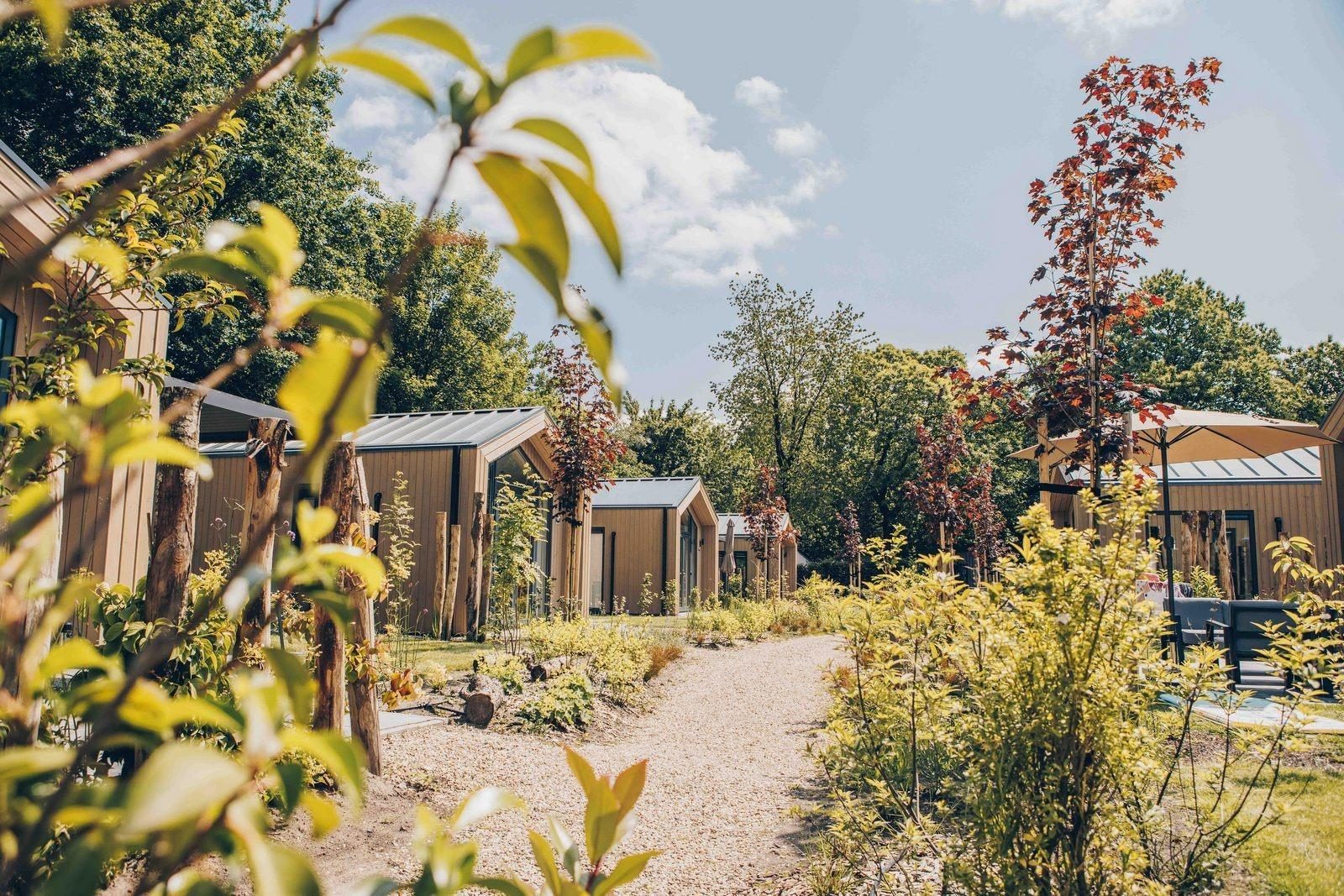 Tiny house Veluwe