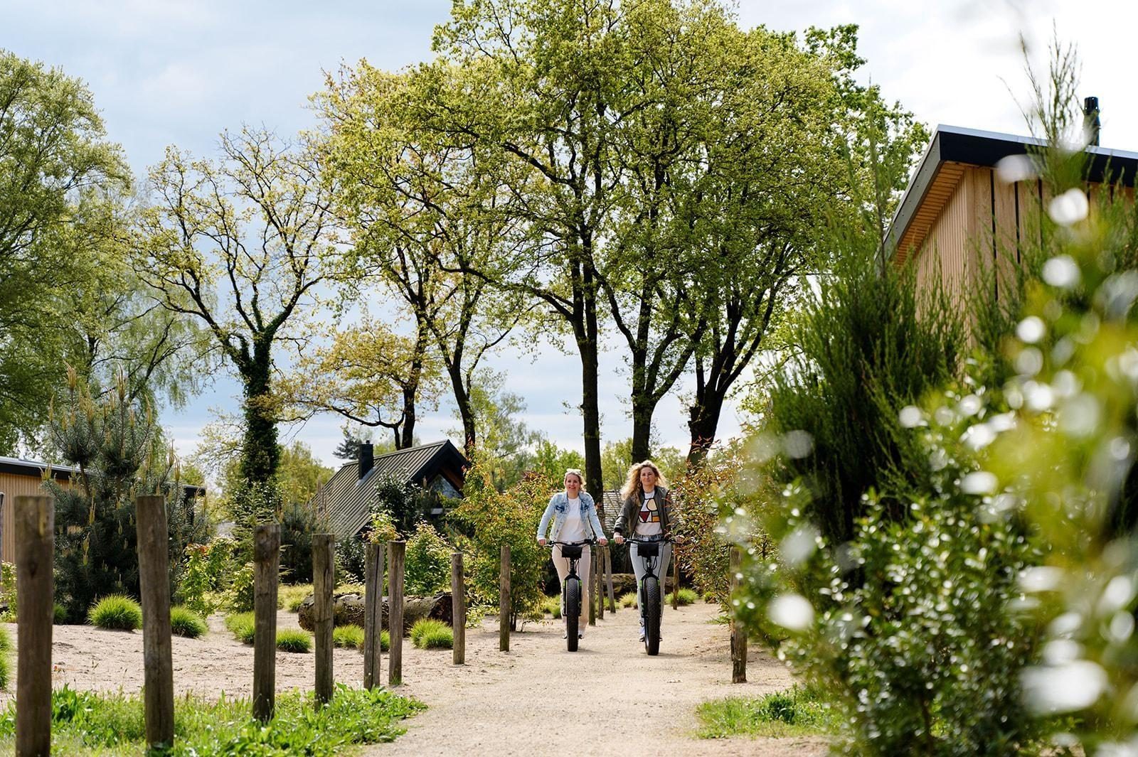 Last minute Veluwe