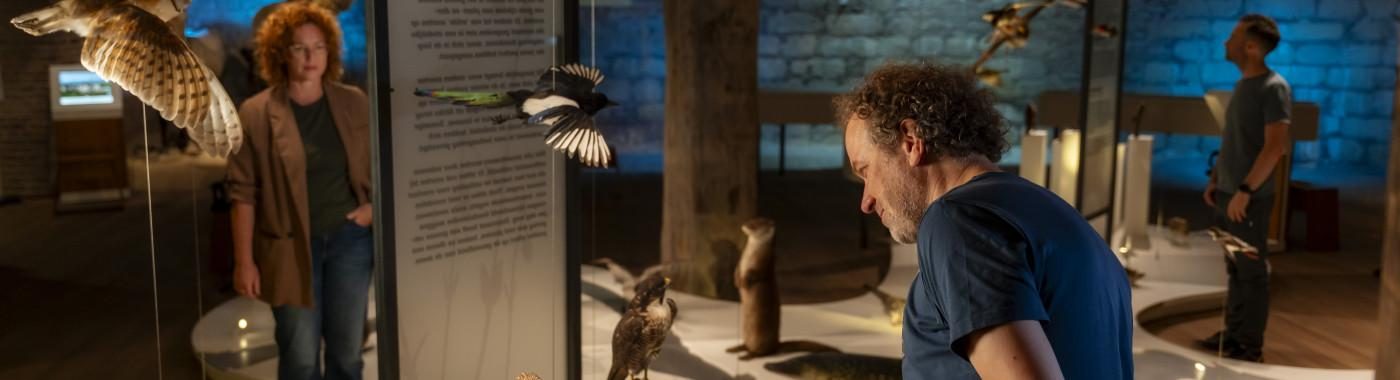 Museum De Bastei