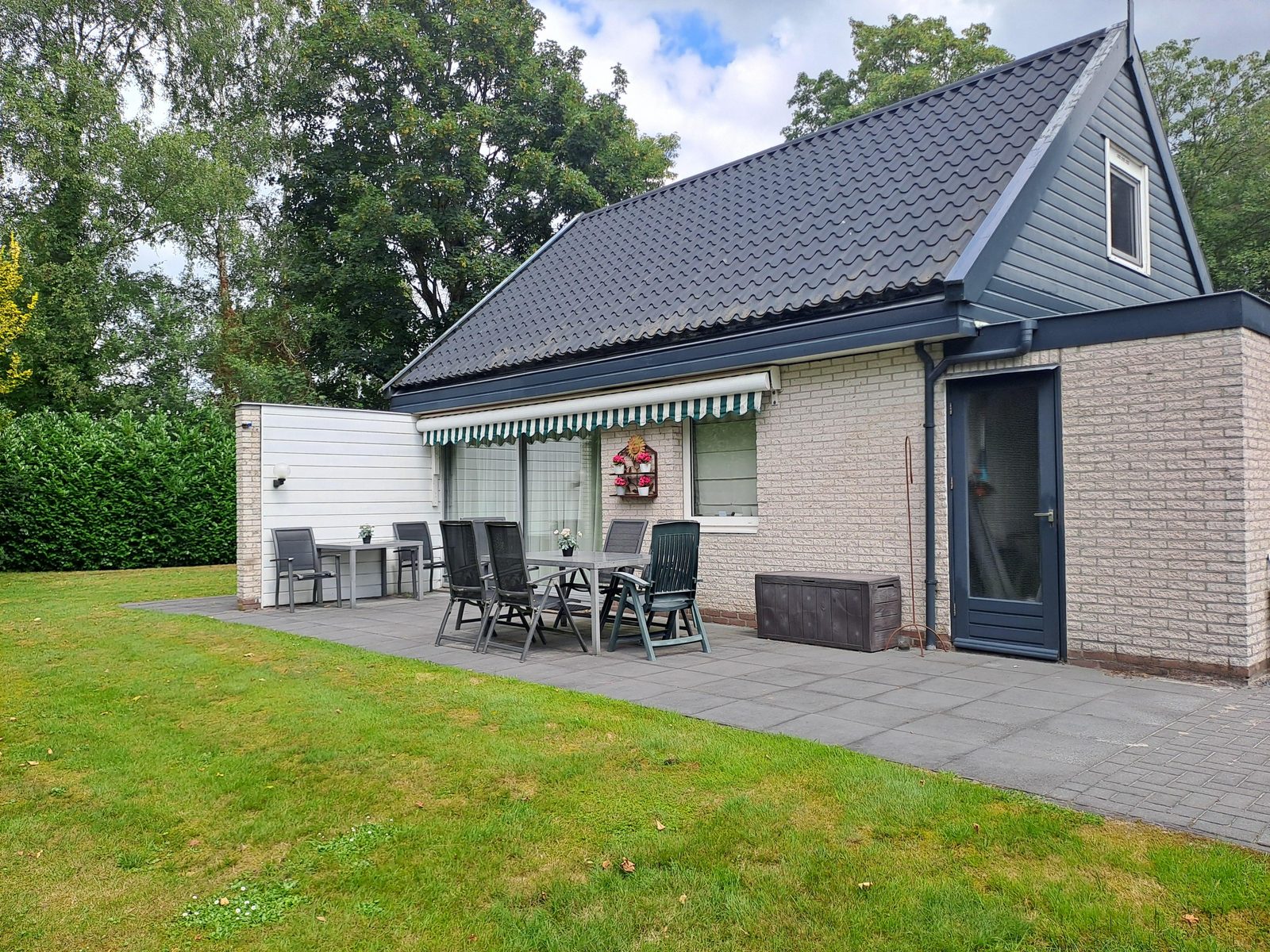 Te koop: Kastanje 50