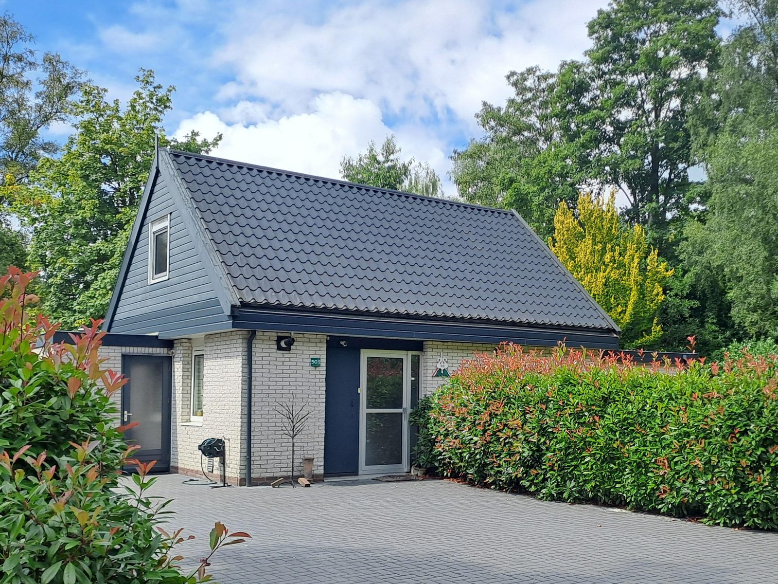 Te koop: Kastanje 50