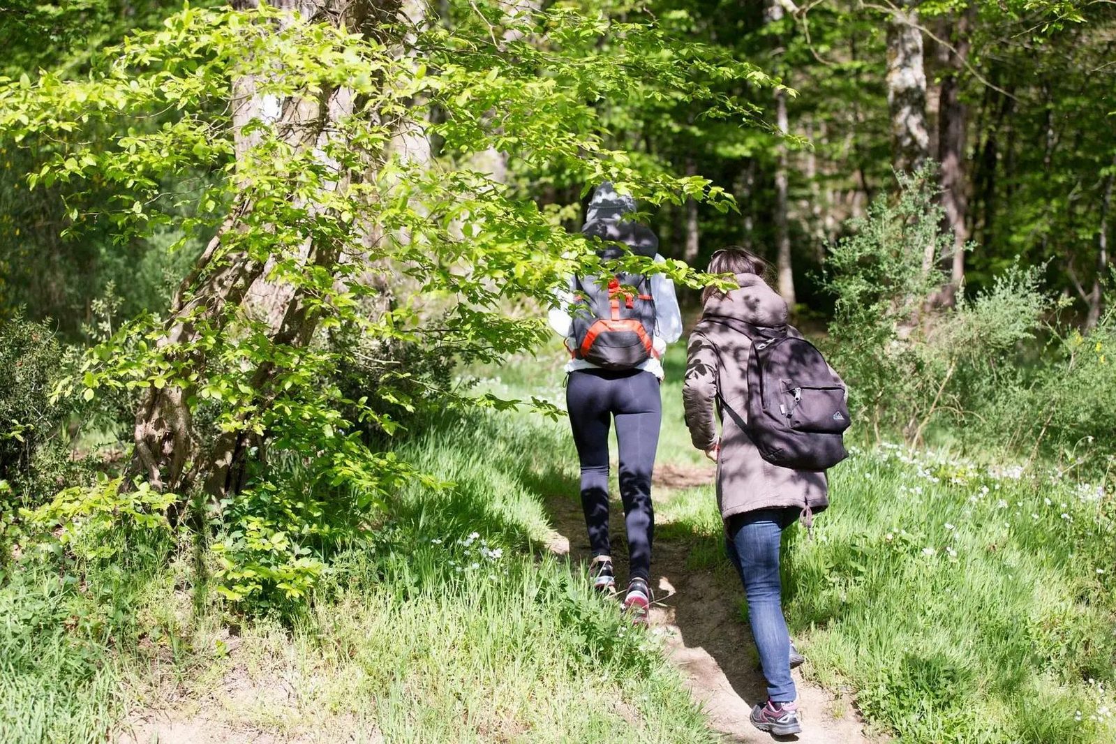 wandelen