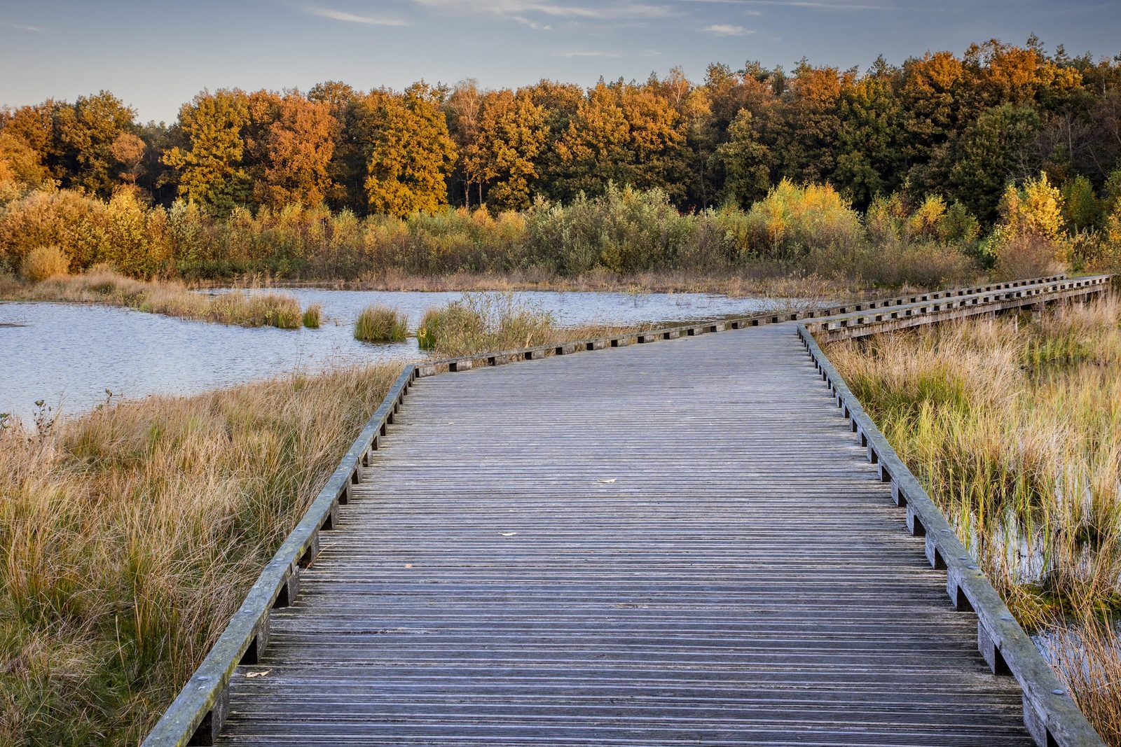 Nationaal Park Dwingelderveld