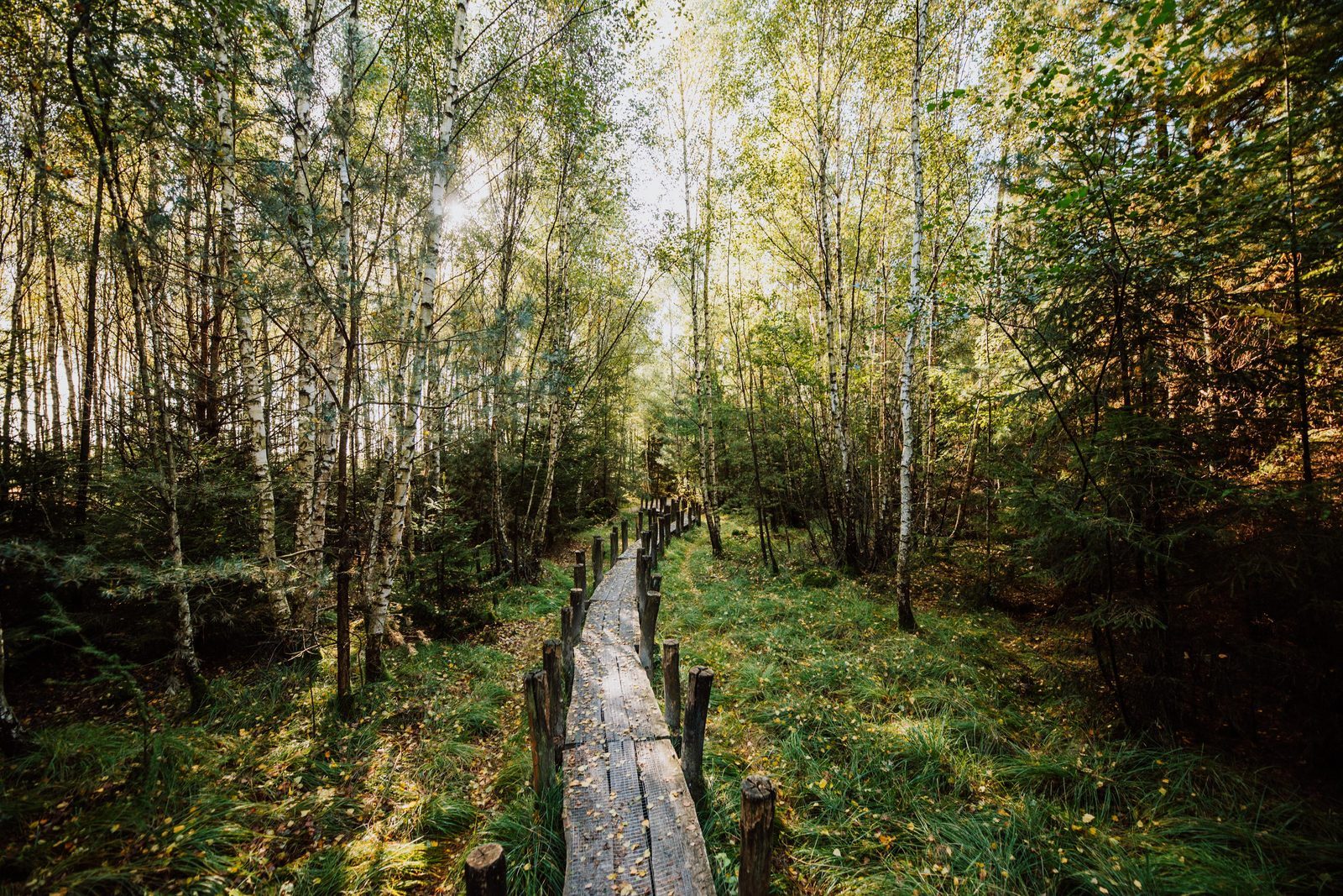 Omgeving