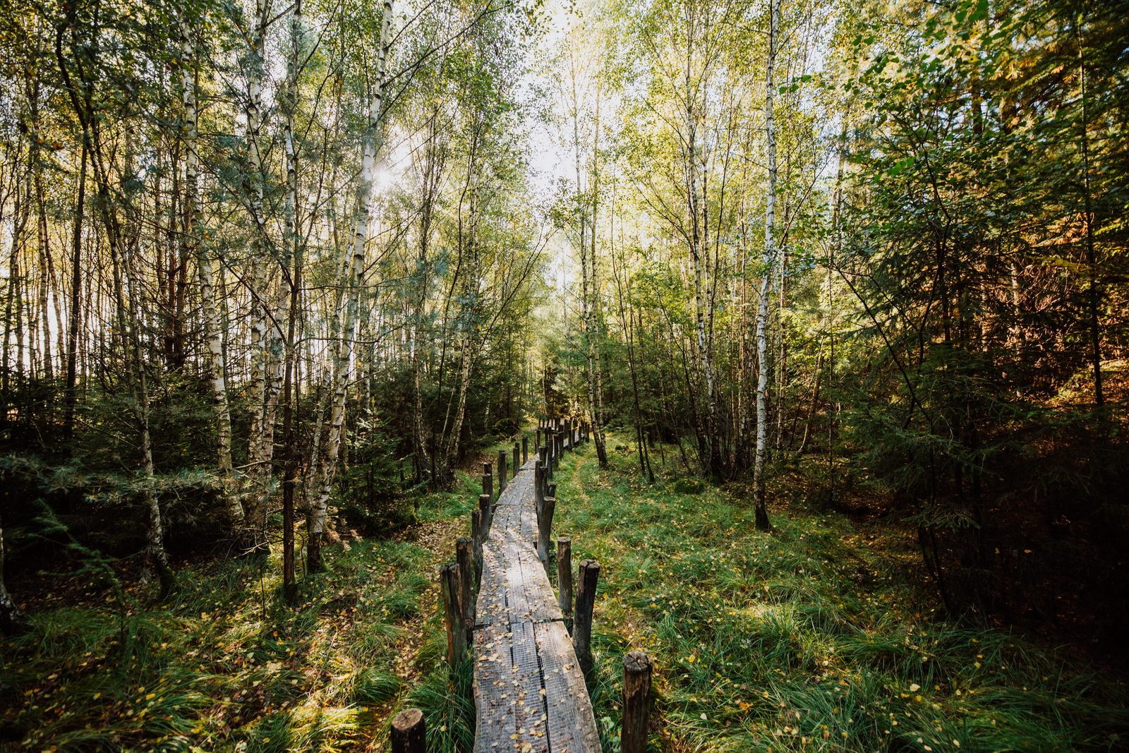Nationaal Park Dwingelderveld