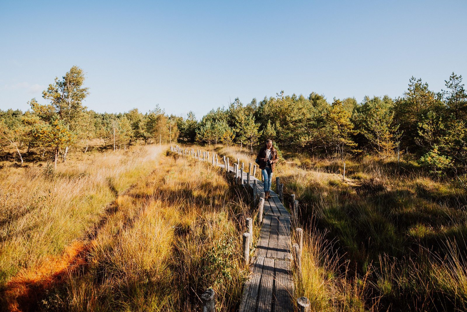 Vakantiepark Drenthe