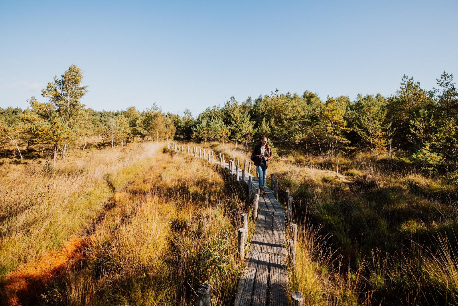 Nationaal Park Dwingelderveld