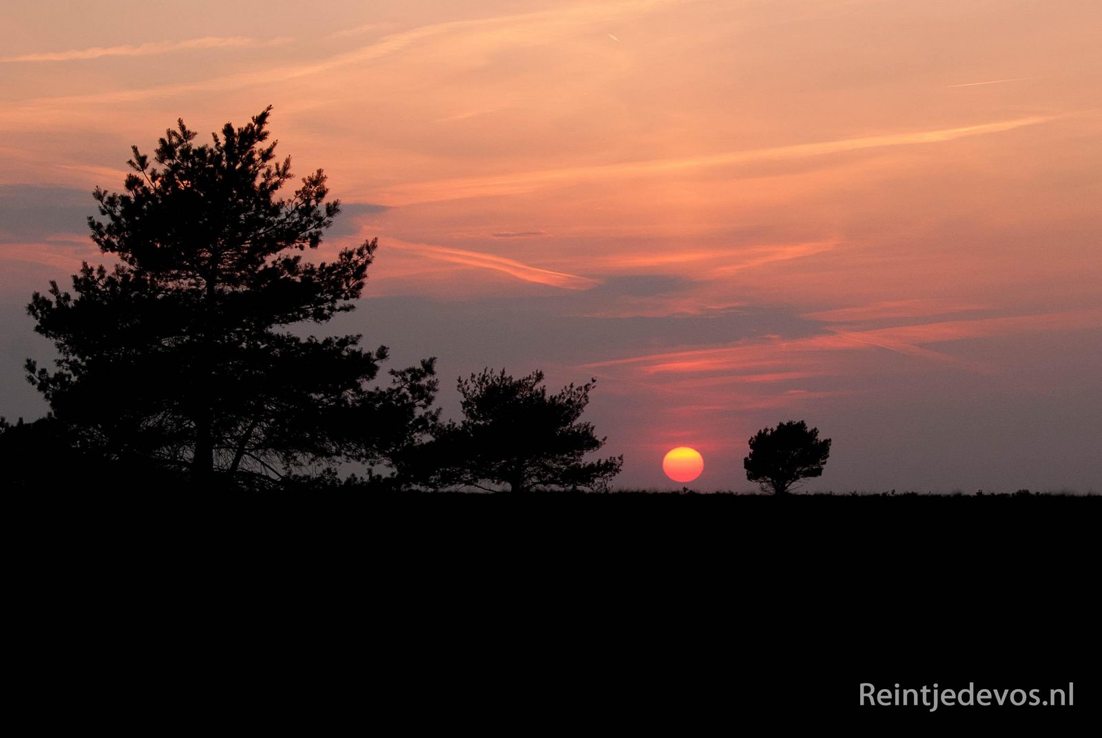 Vroege voorjaarswandeling