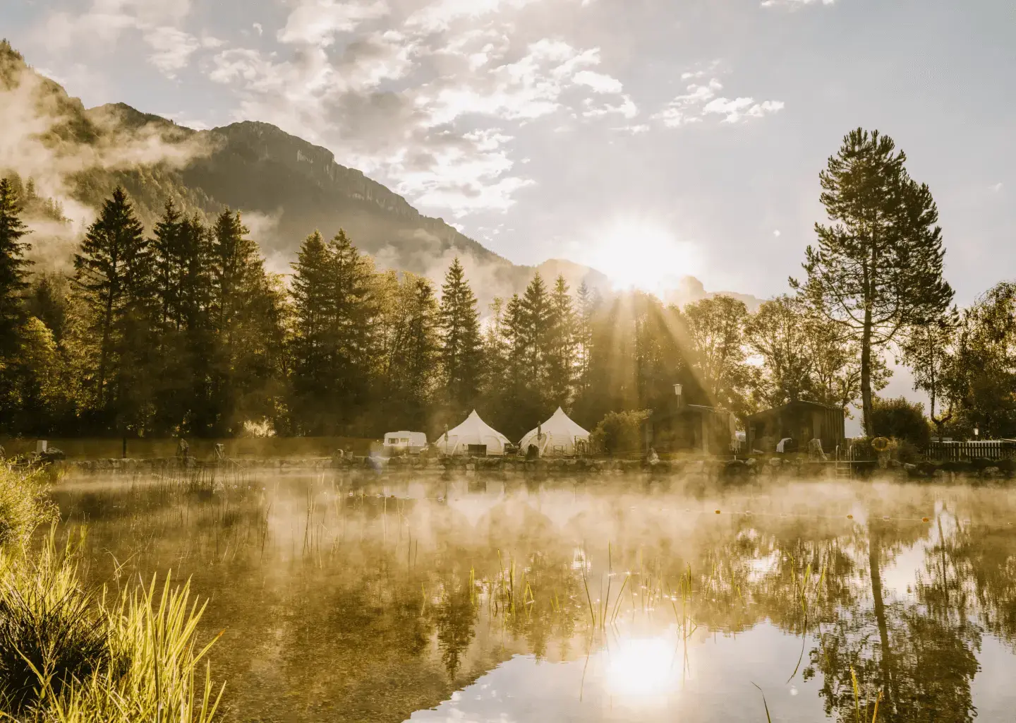 Live Launch of Camping Steinplatte: A Transformation, Not Just a Software Change