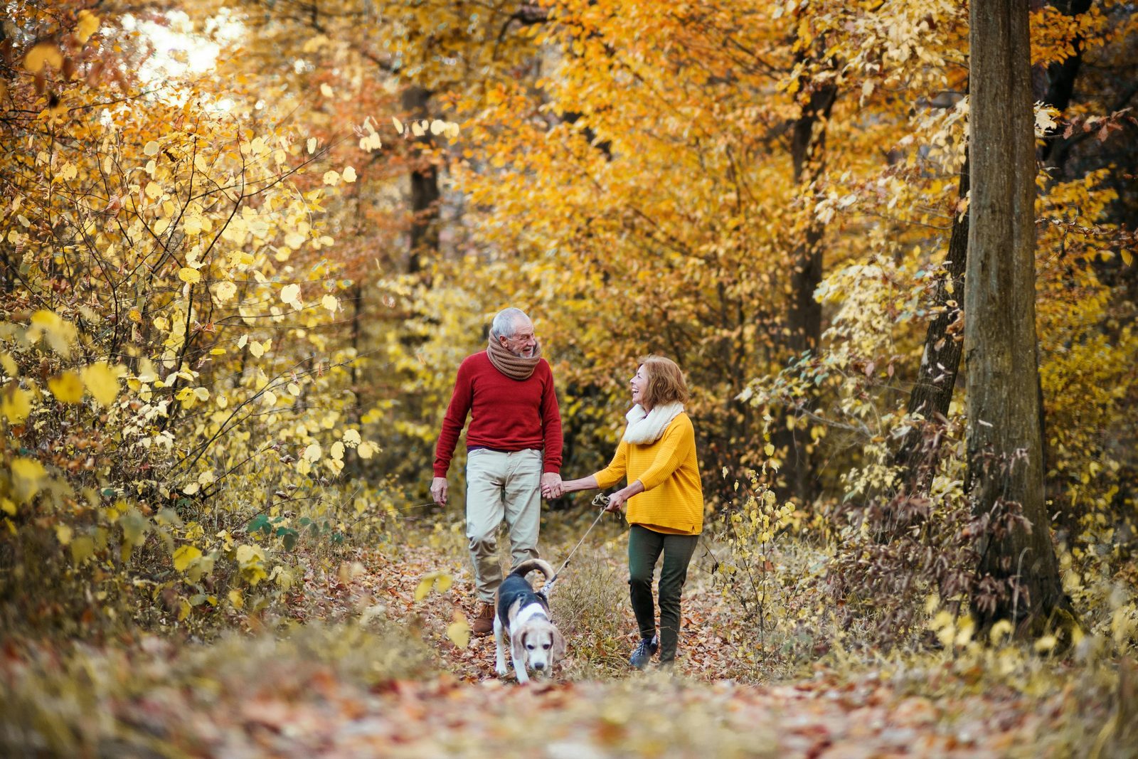 Holiday homes in autumn