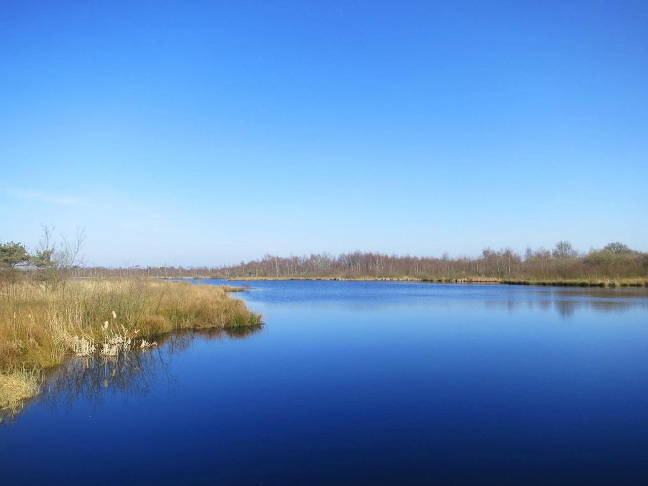De Maasplassen