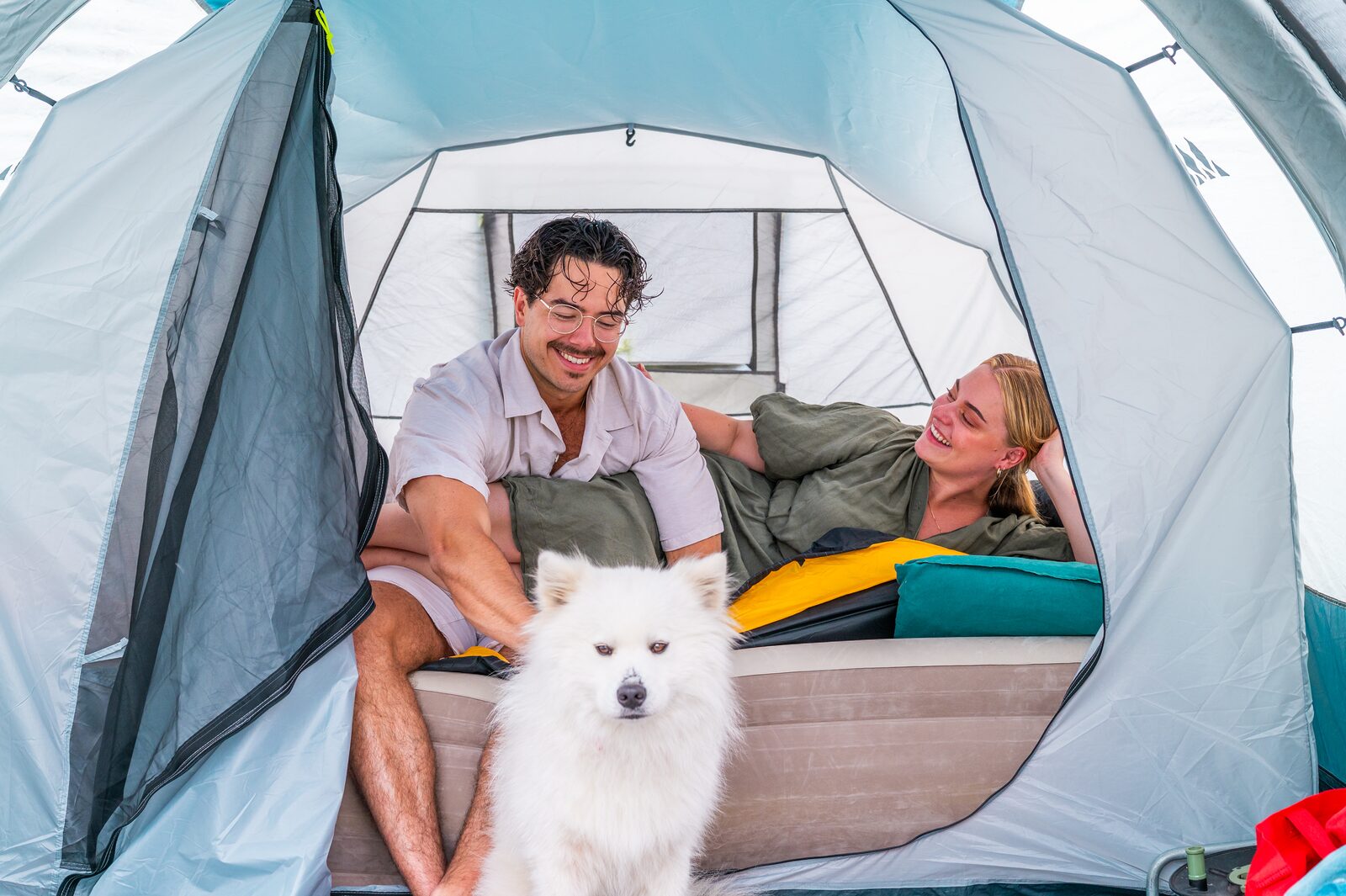 Dog friendly holidays