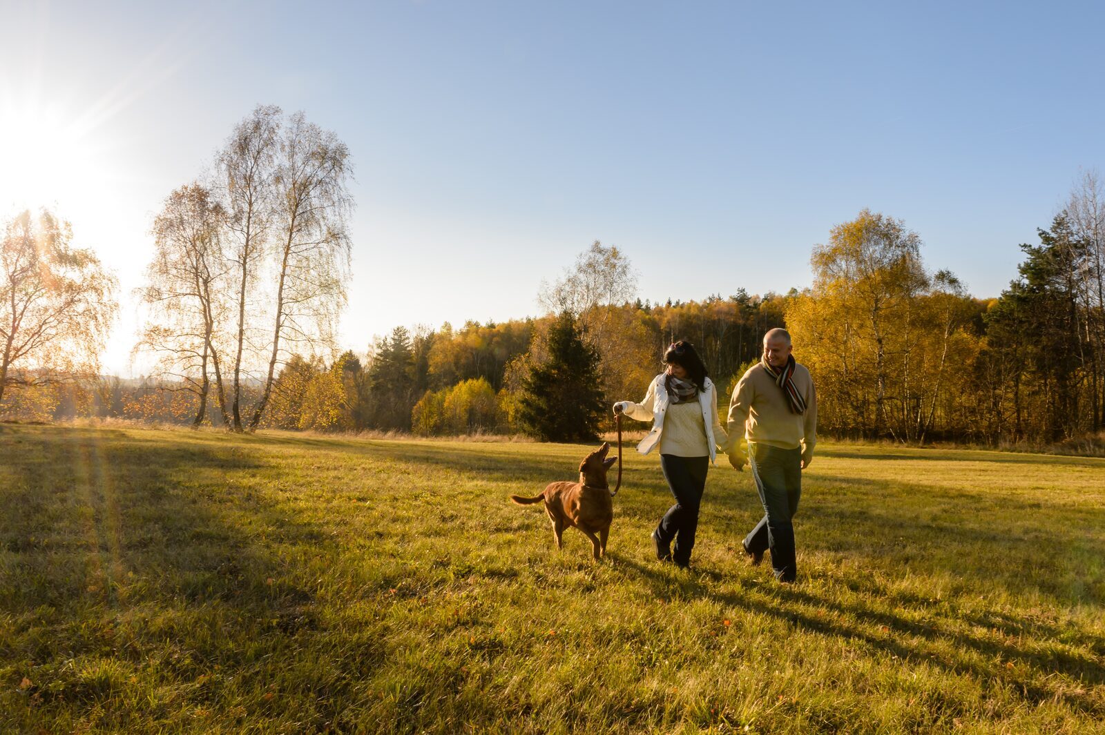 Vakantie Limburg met hond