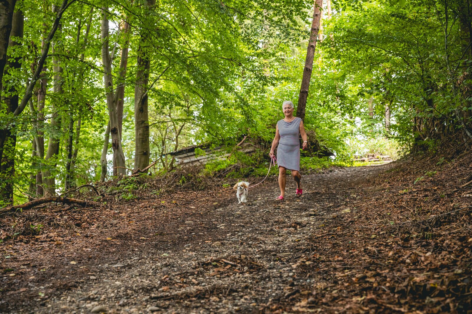 Vakantiepark Belgie met hond
