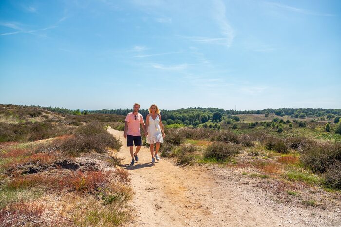 EuroParcs Schoneveld in Breskens — foto 3