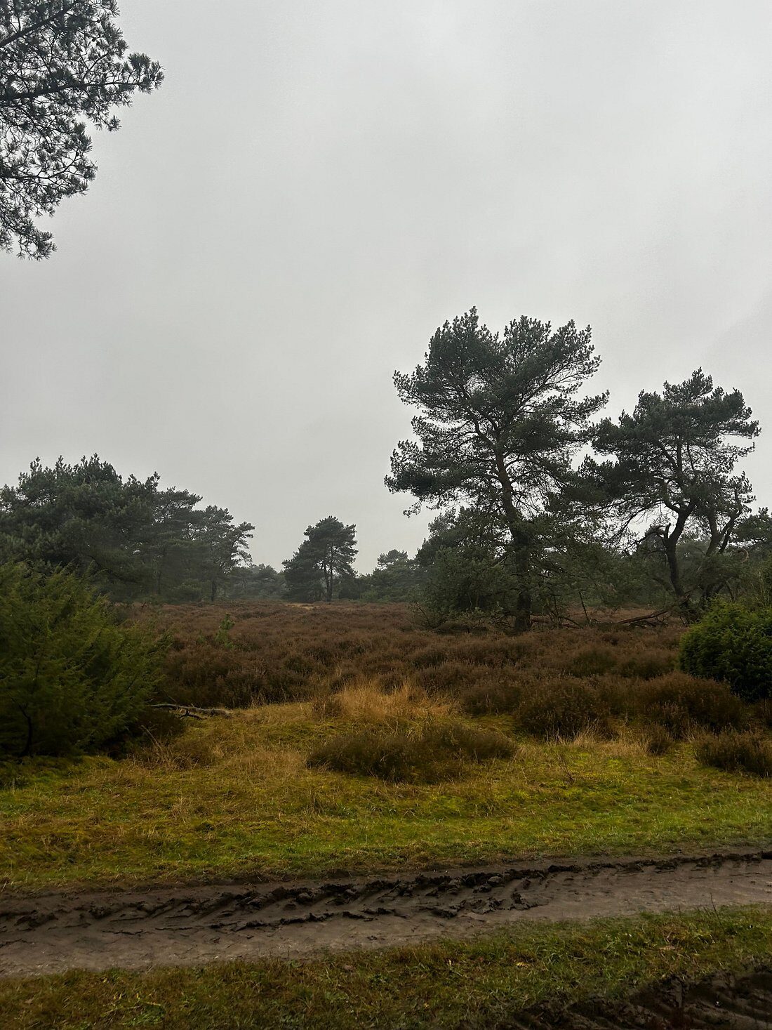 Itterbecker Heide