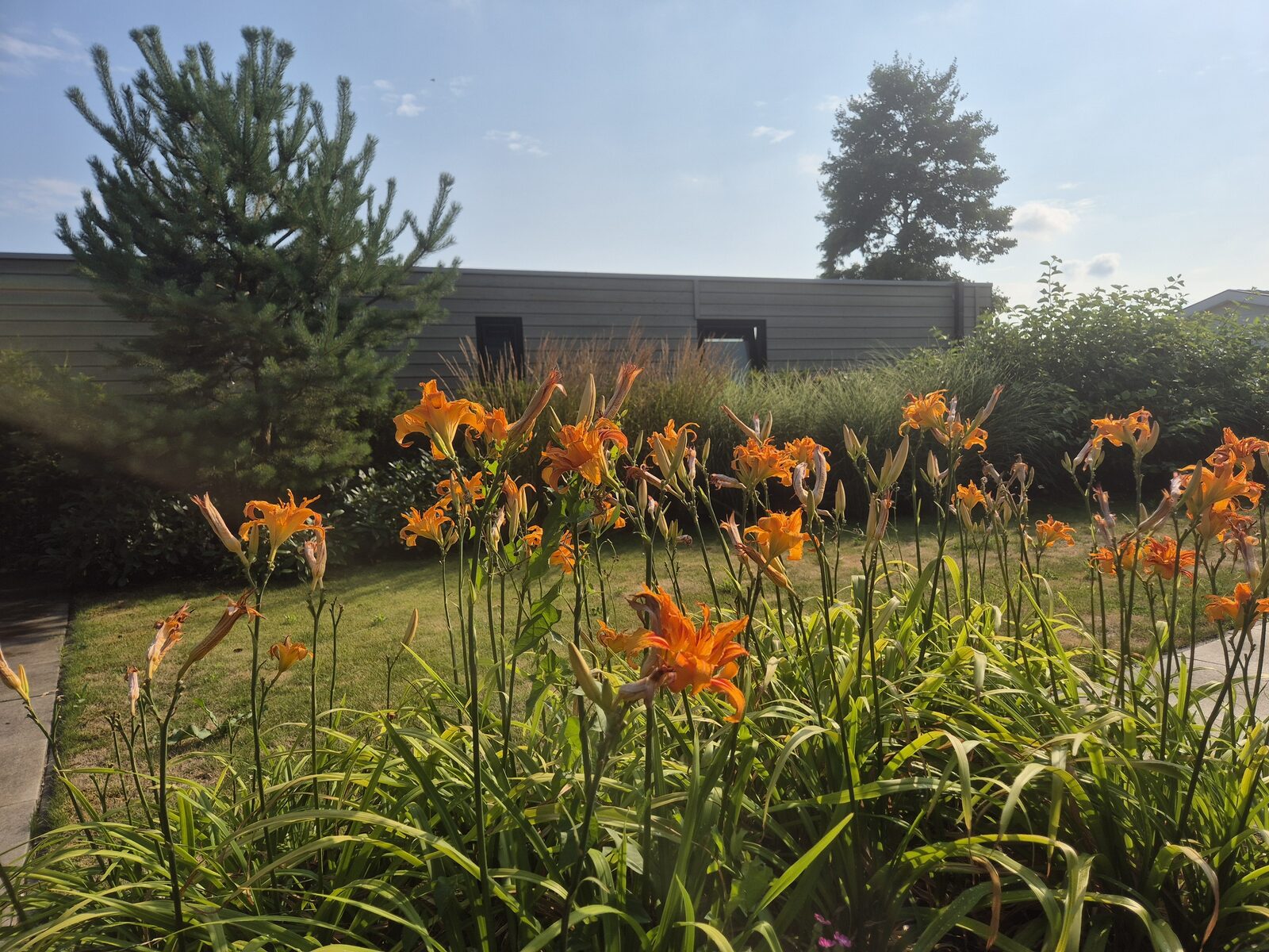 Vacation homes